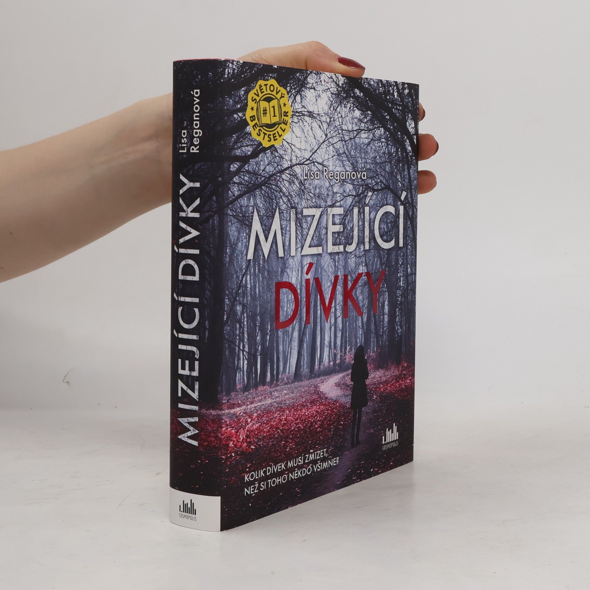 Lisa Regan Mizející dívky