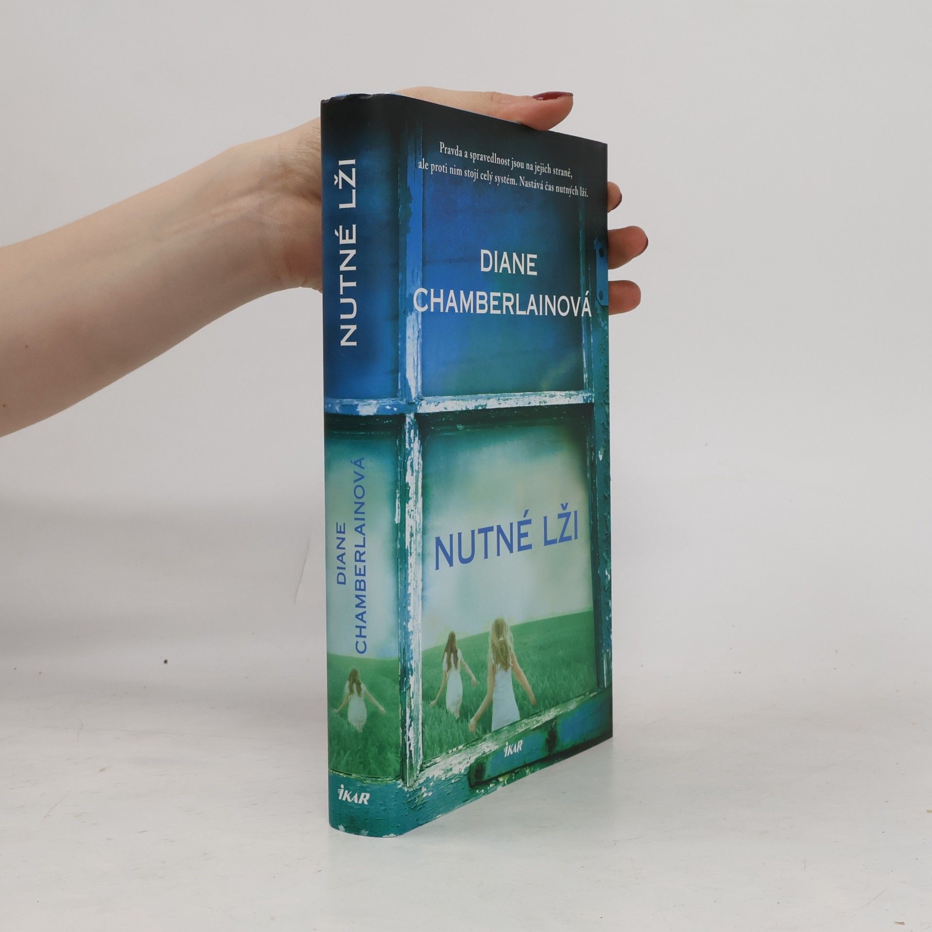 Diane Chamberlain Nutné lži