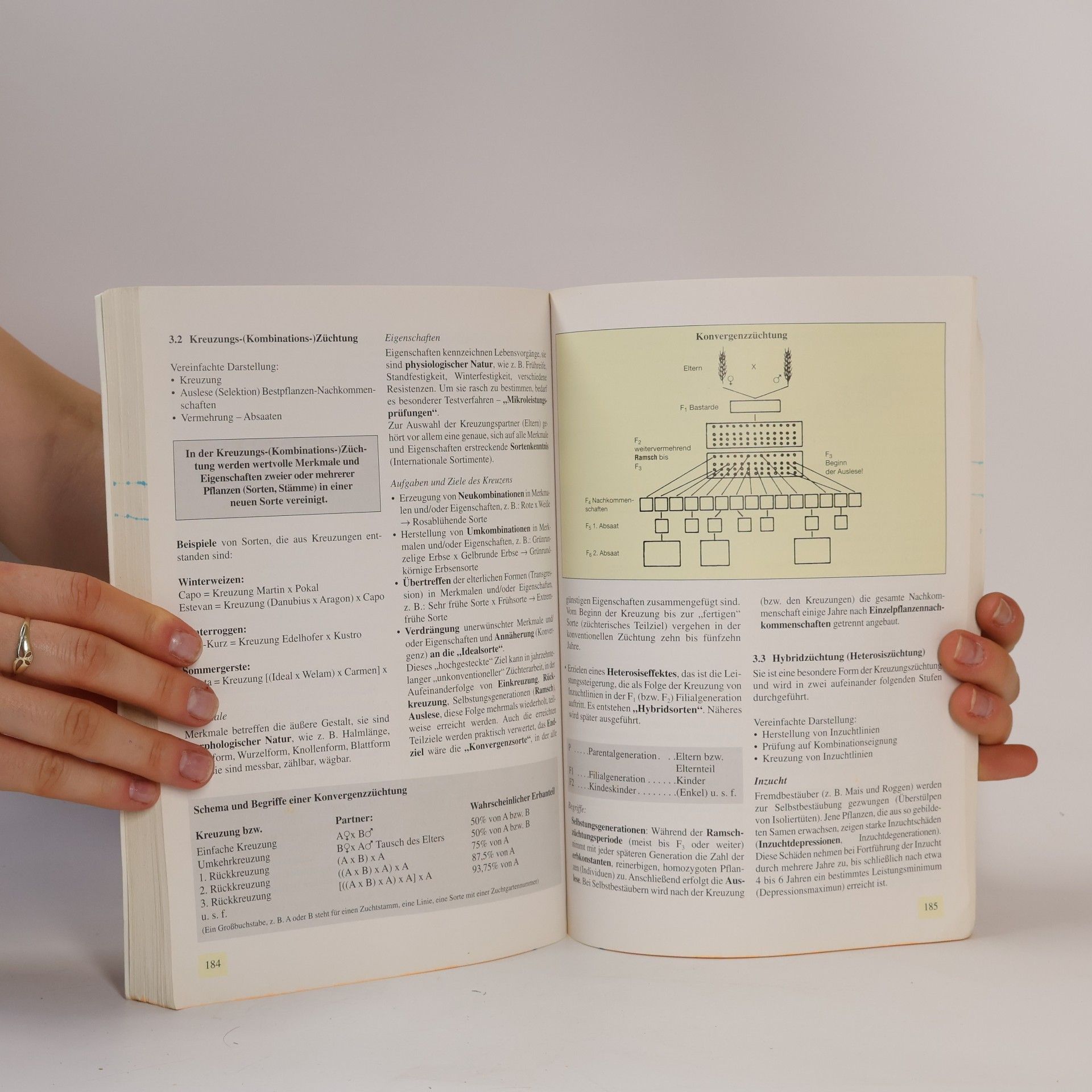 Autorenkollektiv Pflanzenbau 1. Grundlagen