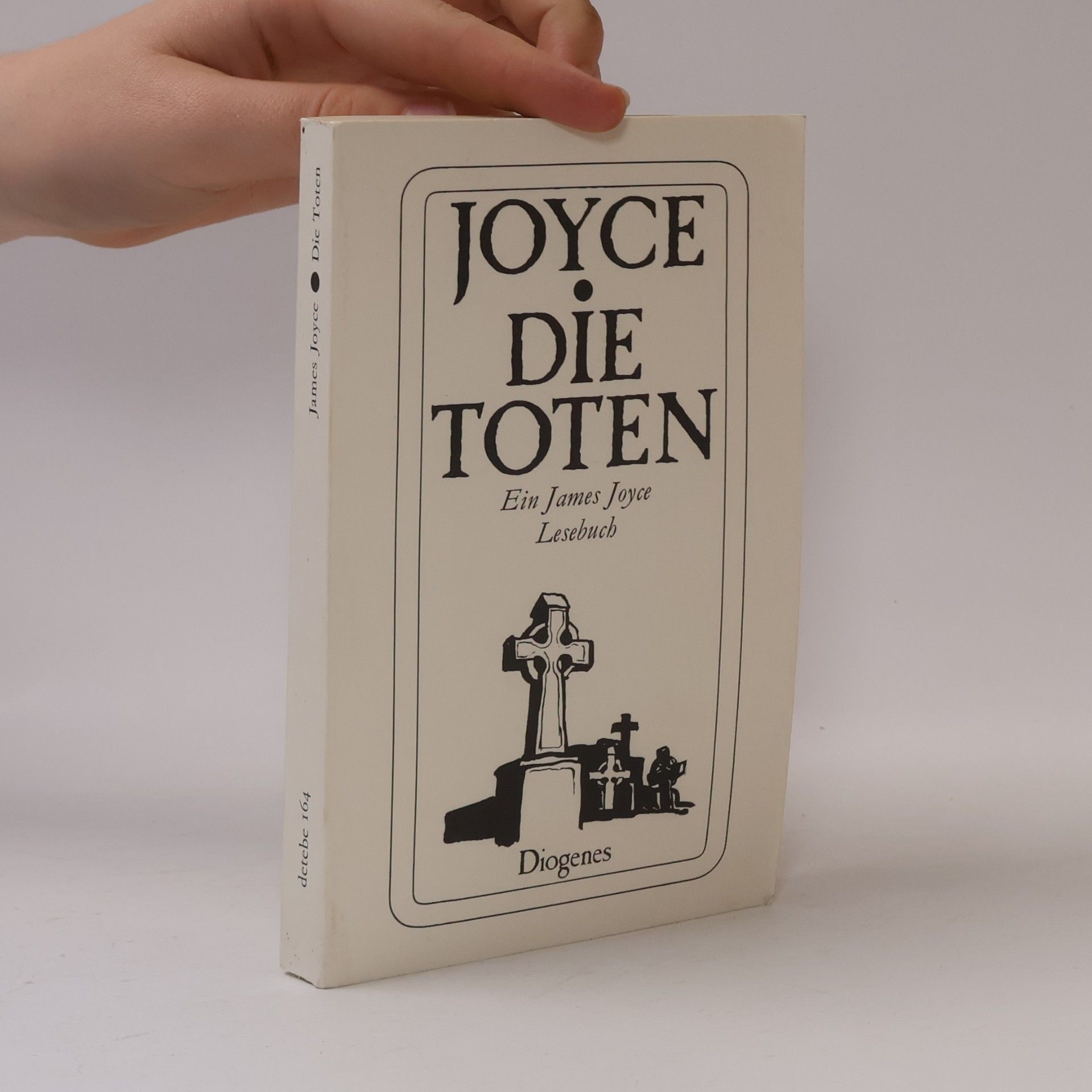 James Joyce Die Toten