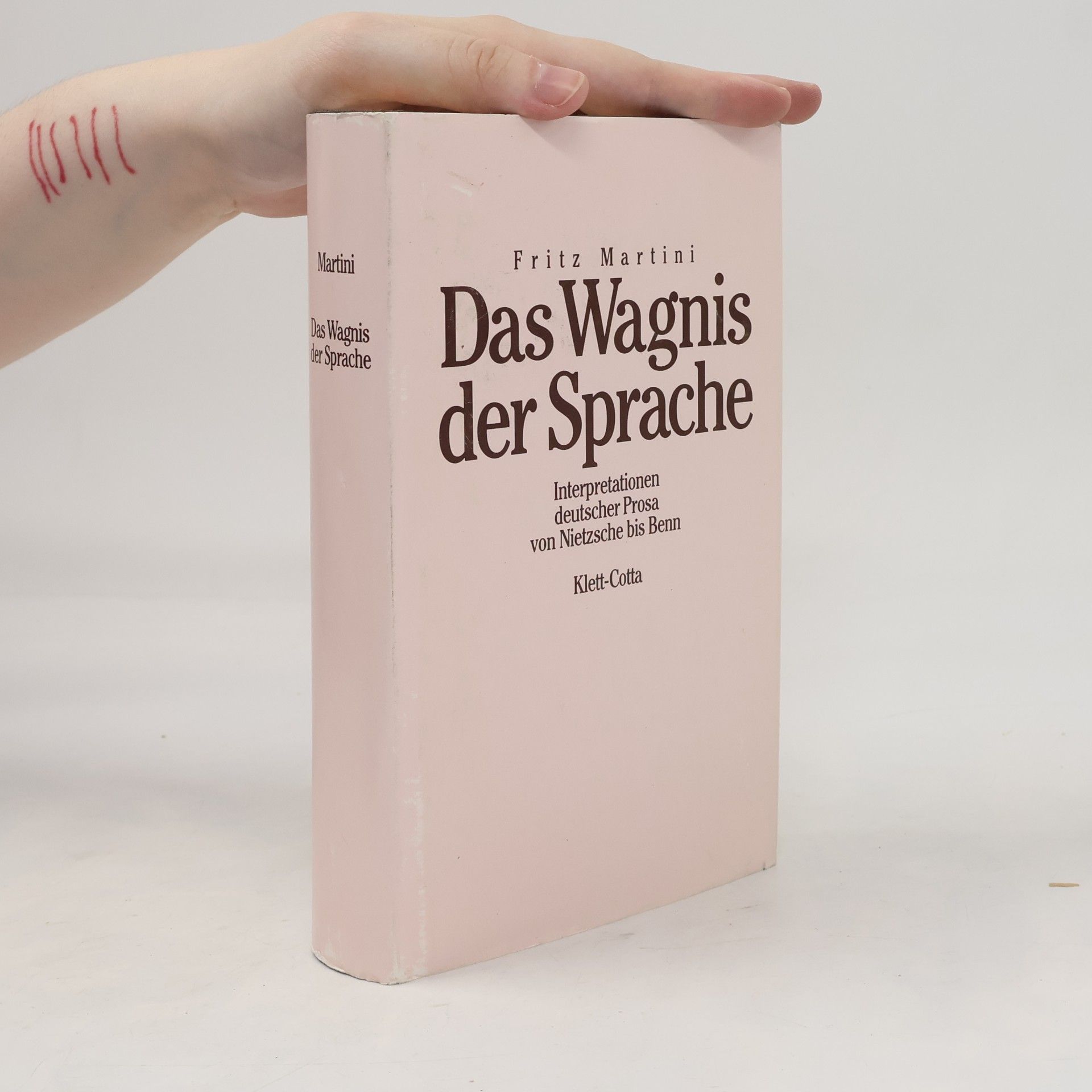 Fritz Martini Das Wagnis der Sprache