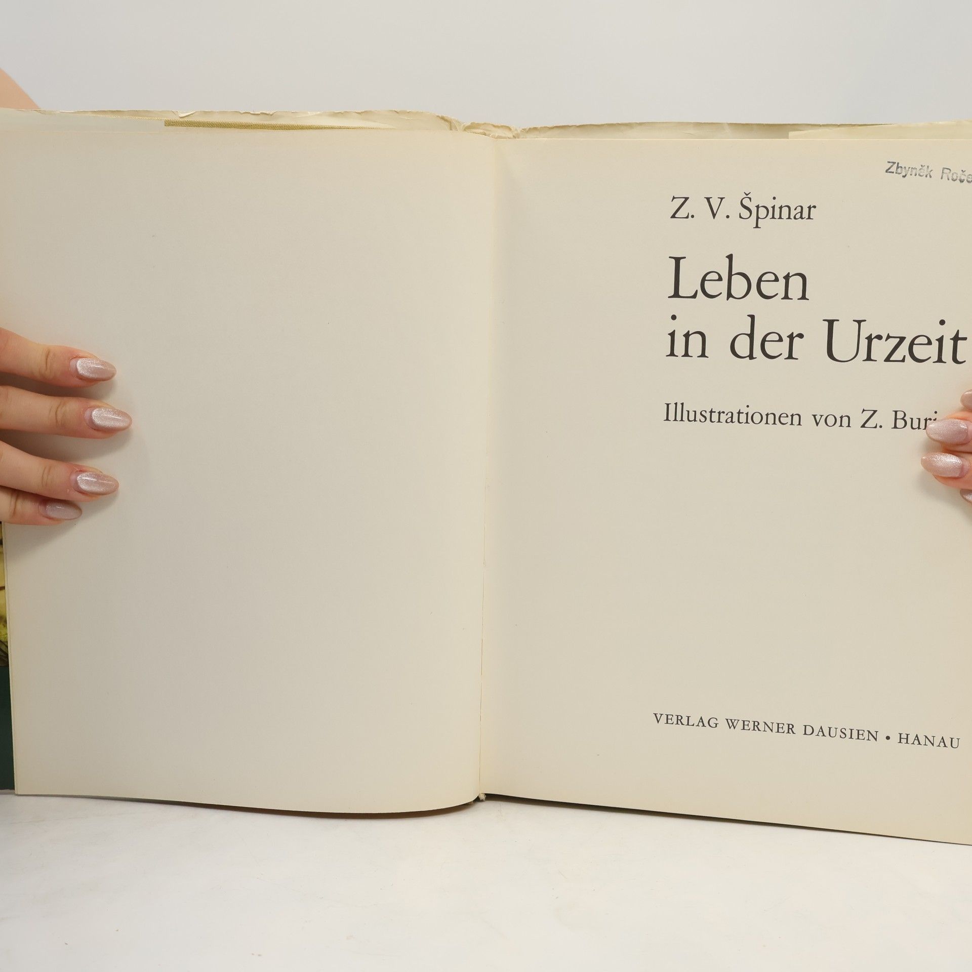 Špinar Zdeněk Leber in der Urzeit