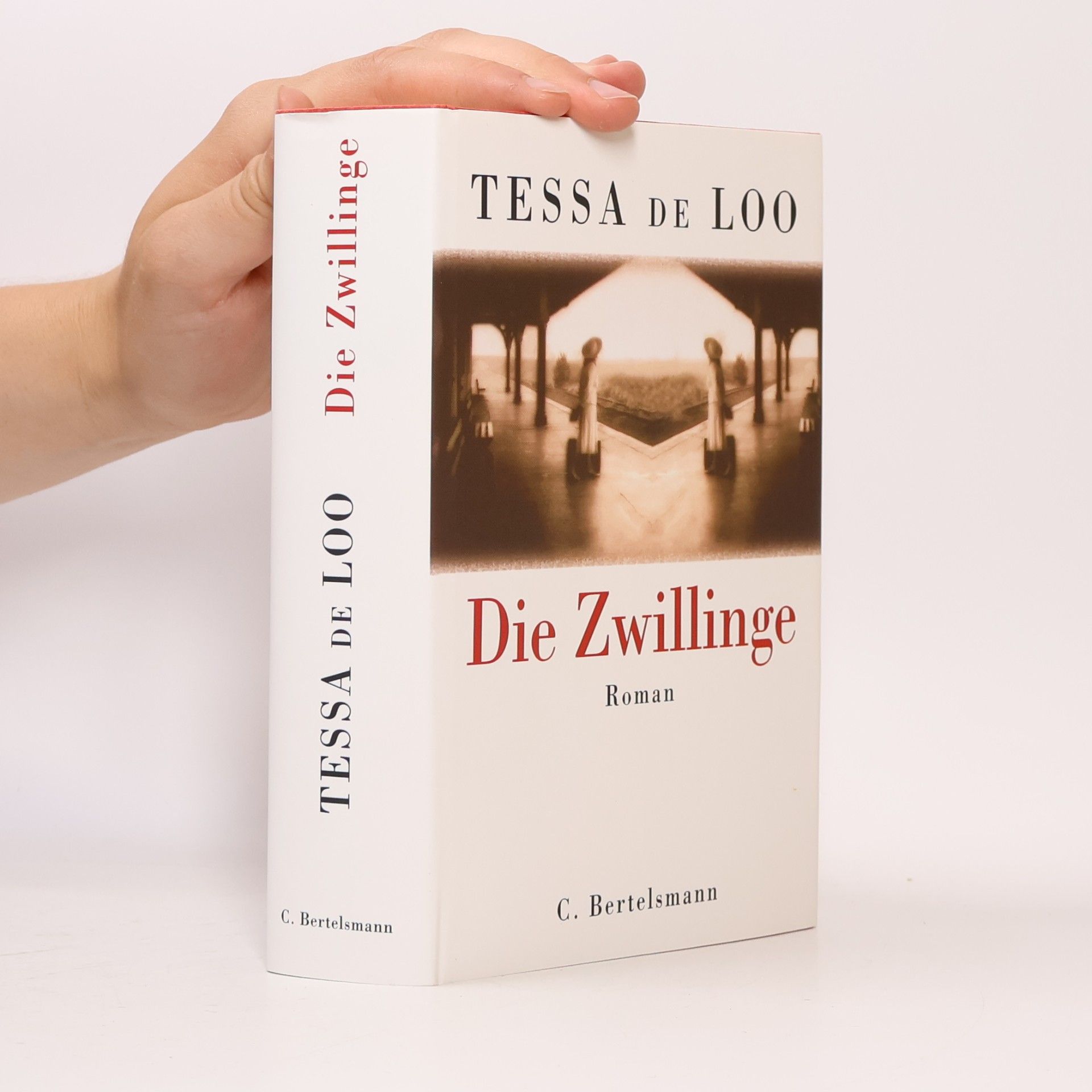 Tessa de Loo Die Zwillinge