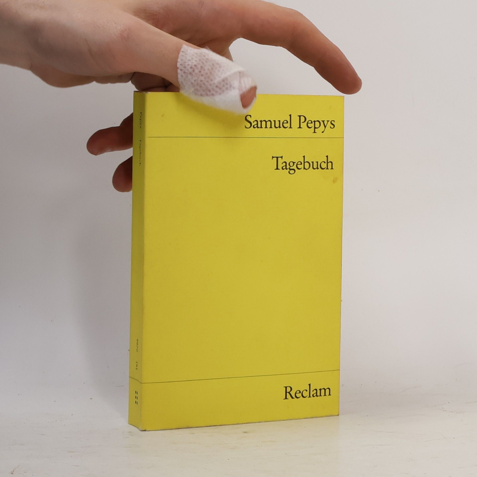 Samuel Pepys Tagebuch