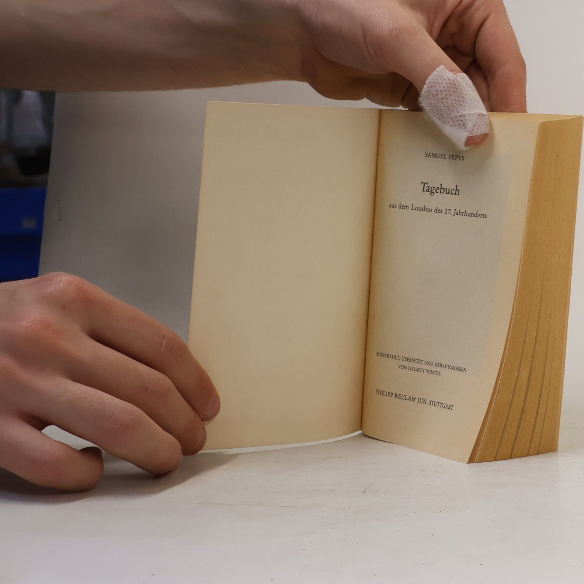Samuel Pepys Tagebuch