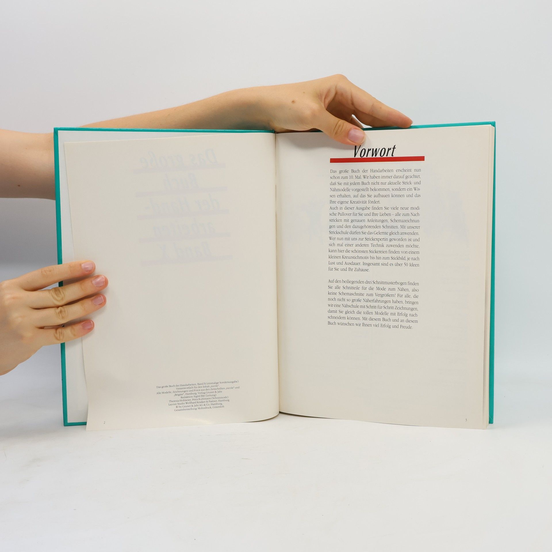 Kolektiv autorů Das grosse Buch der Handarbeiten X