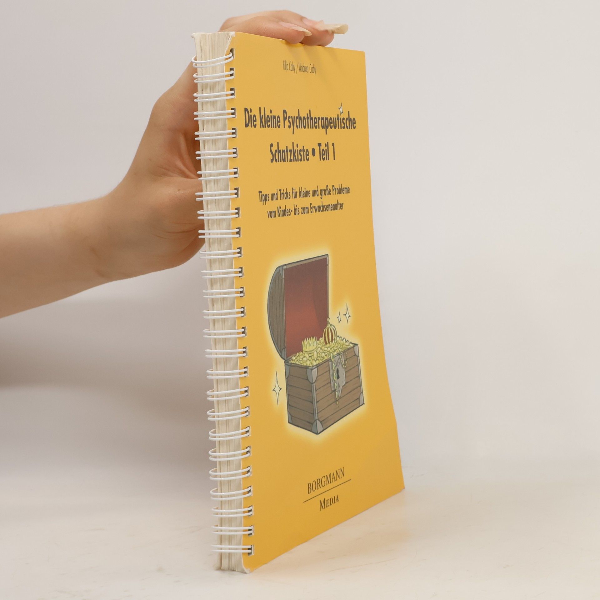 Die kleine psychotherapeutische Schatzkiste