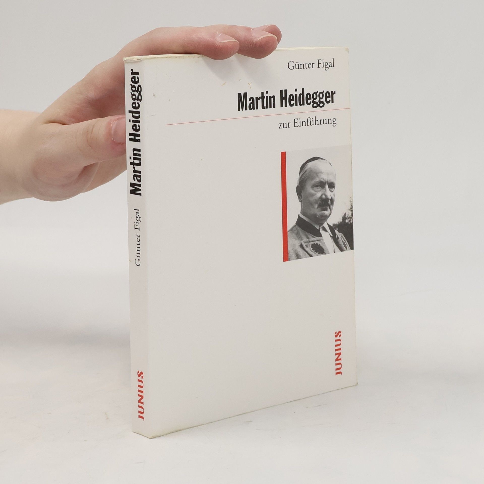 Martin Heidegger zur Einführung