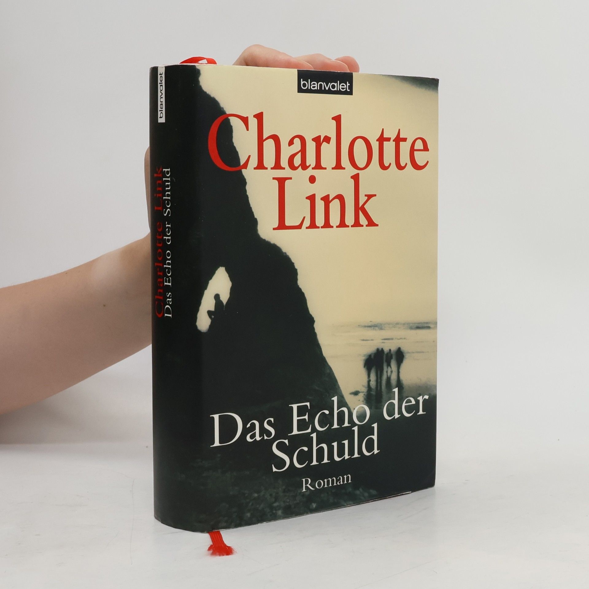Charlotte Link Das Echo der Schuld