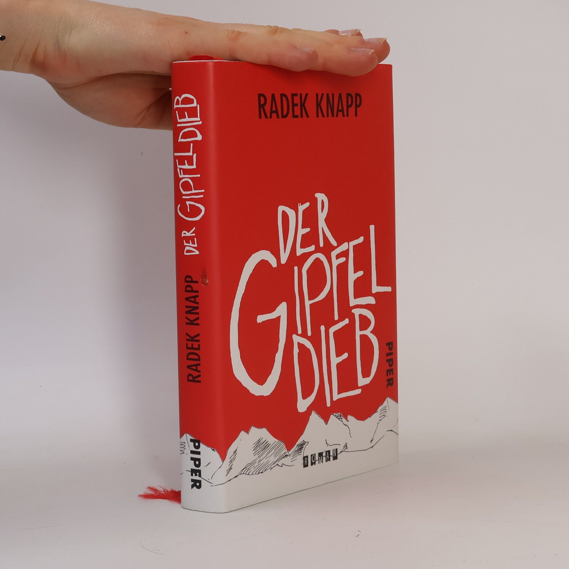 Radek Knapp Der Gipfeldieb