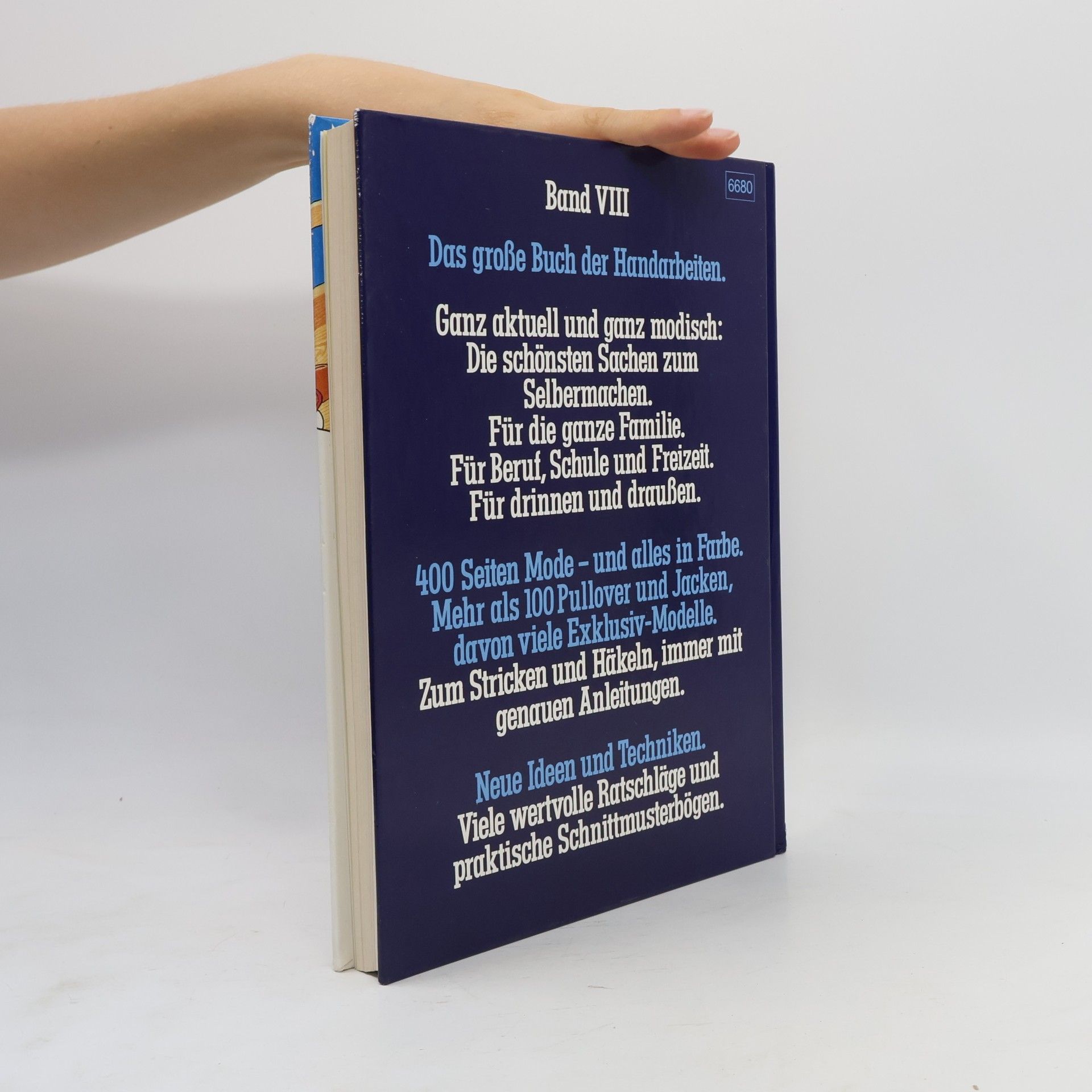 Kolektiv autorů Das große Buch der Handarbeiten VIII