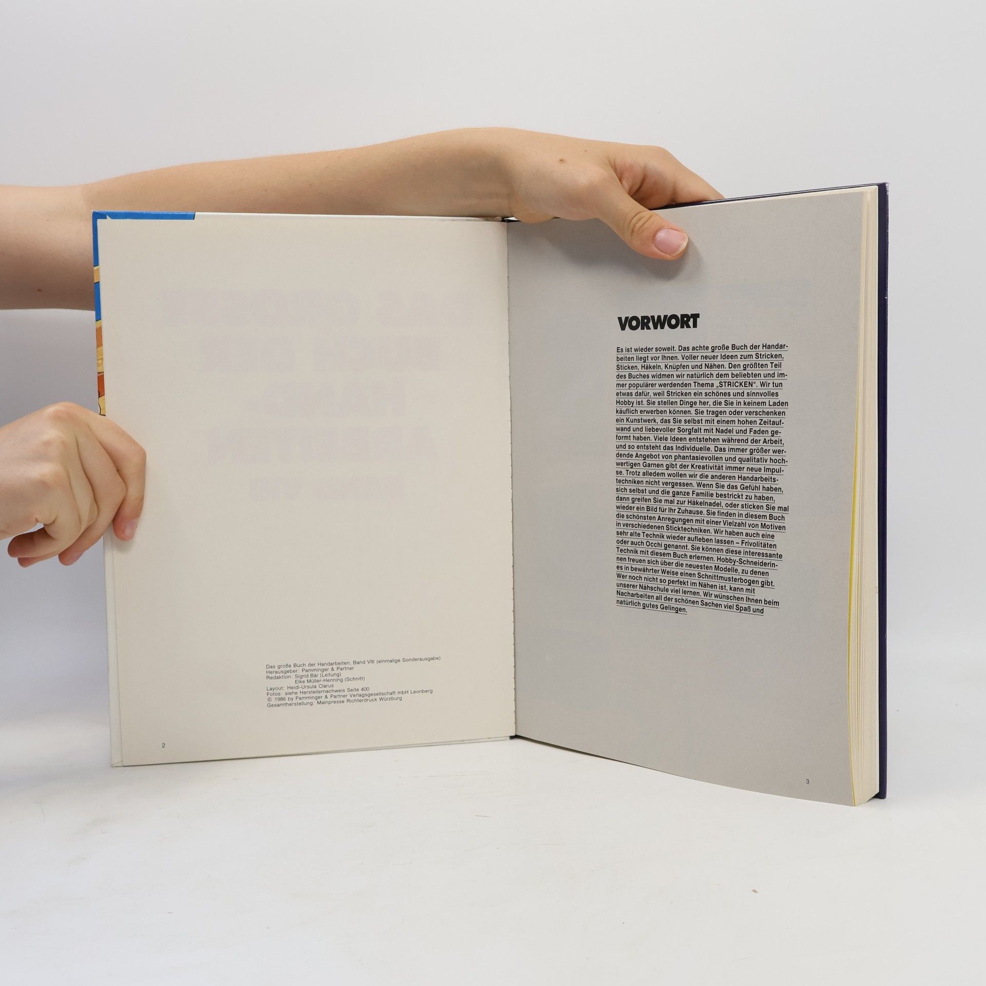 Kolektiv autorů Das große Buch der Handarbeiten VIII