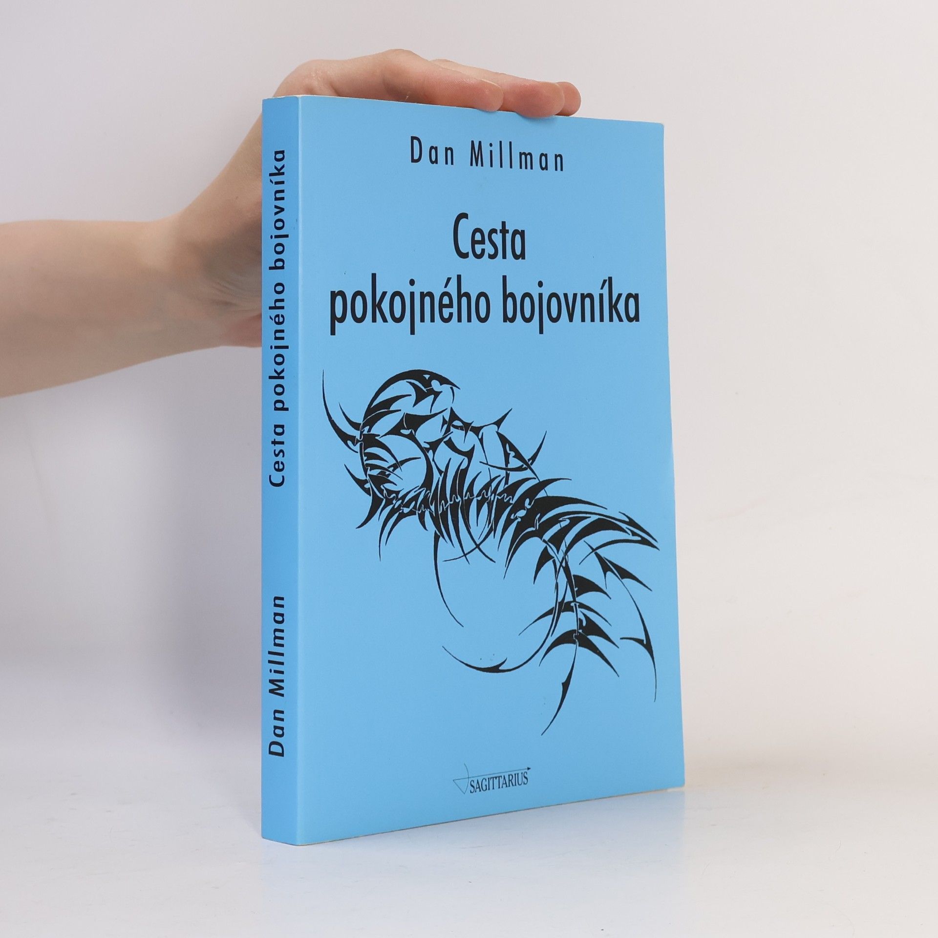 Cesta pokojného bojovníka