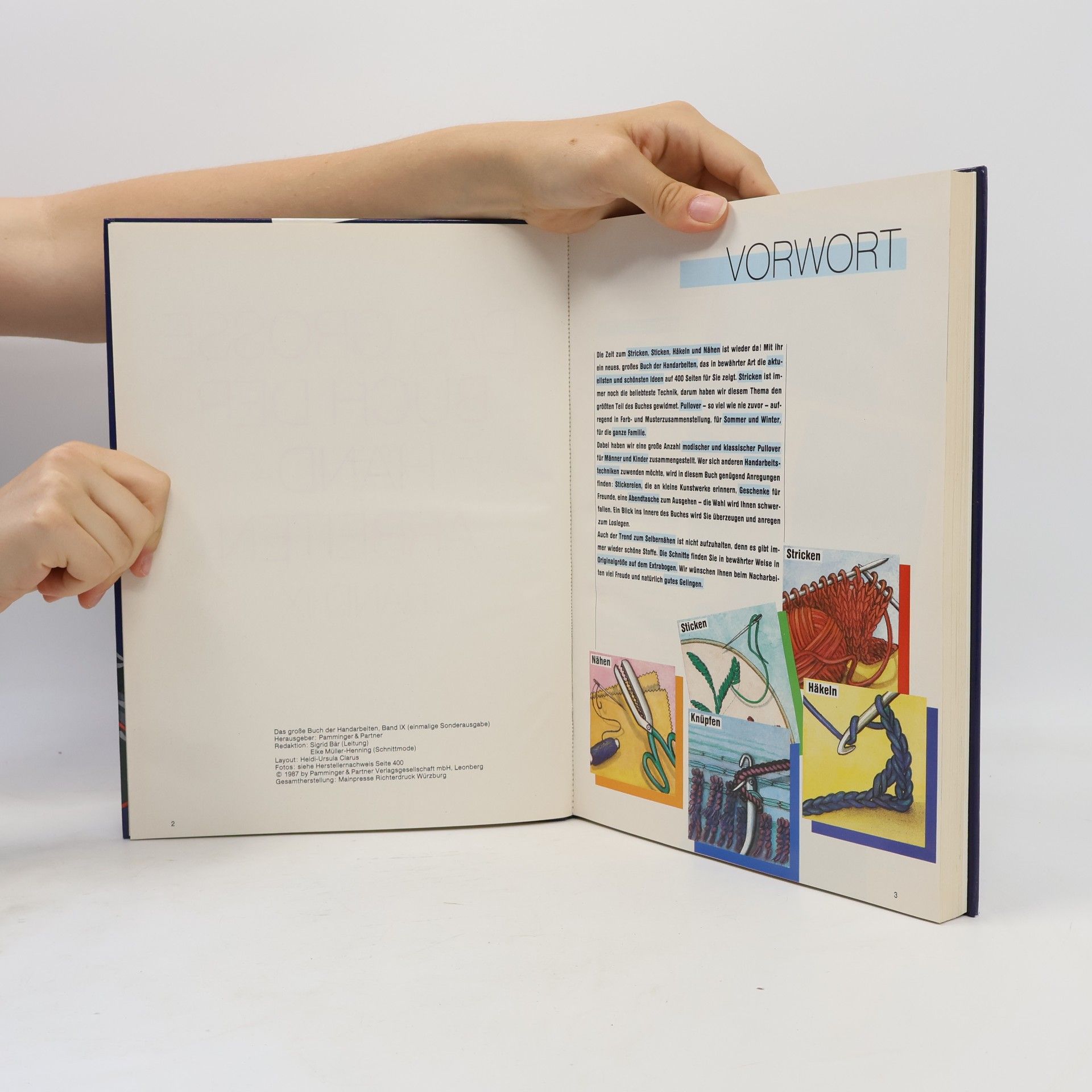 Autorenkollektiv Das große Buch der Handarbeiten IX.