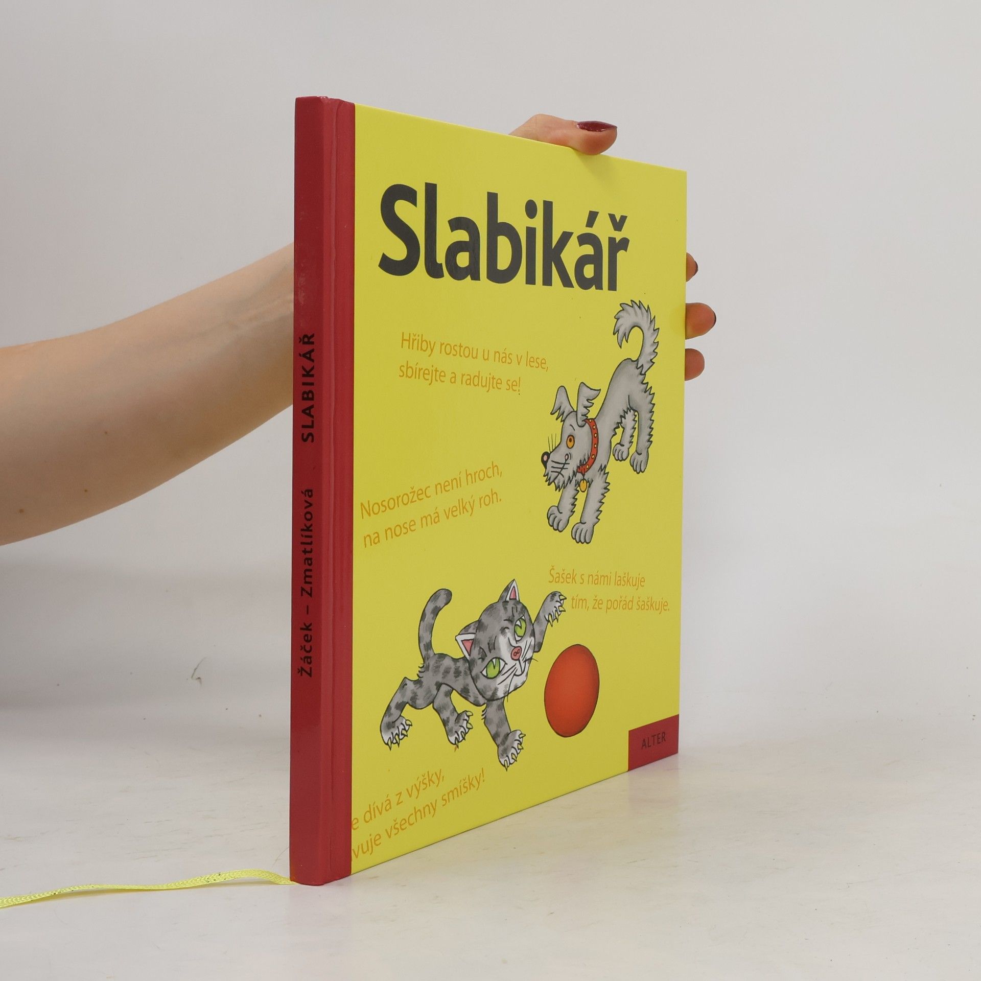 Jiří Žáček Slabikář : učebnice pro vzdělávací obor Český jazyk a literatura