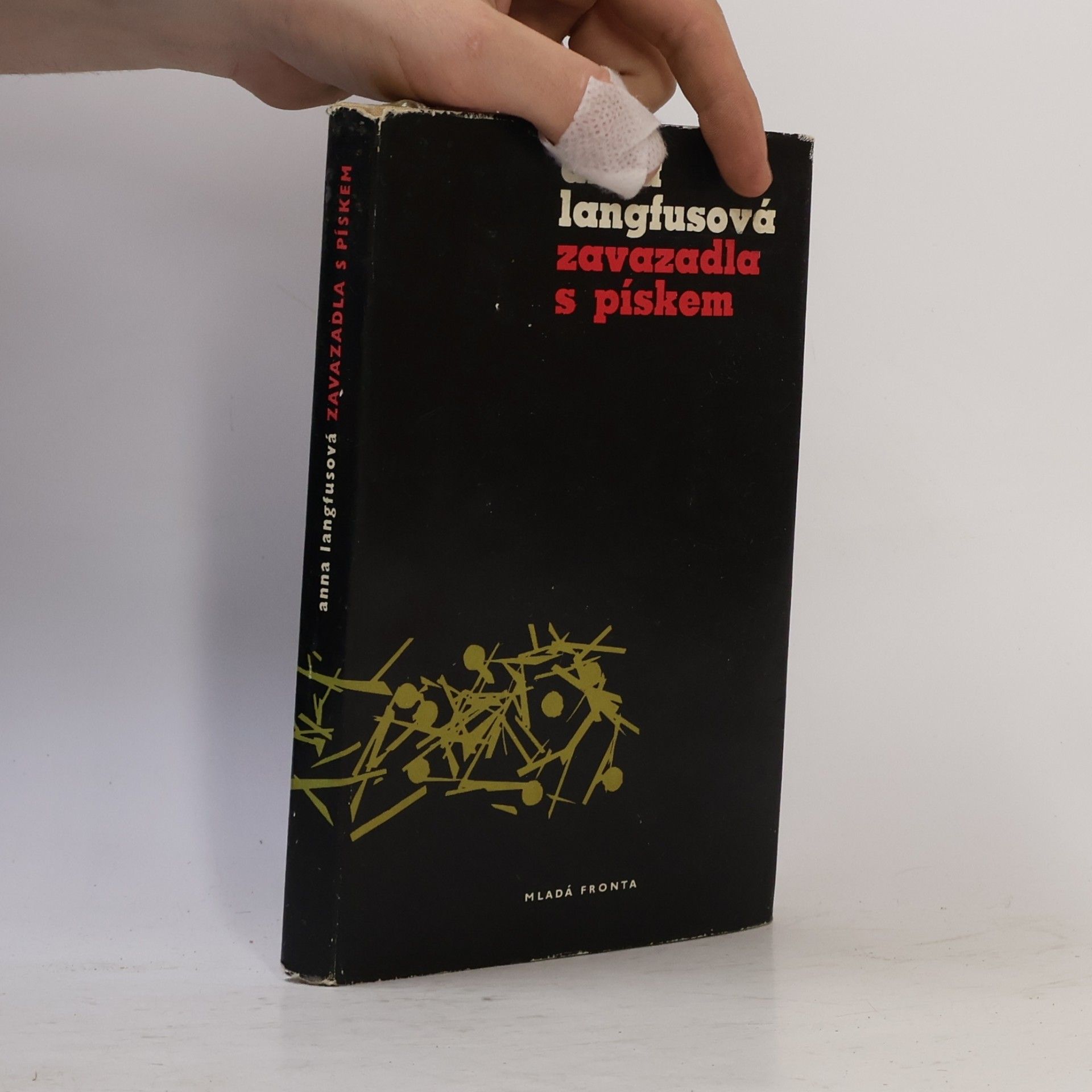 Anna Langfus Zavazadla s pískem
