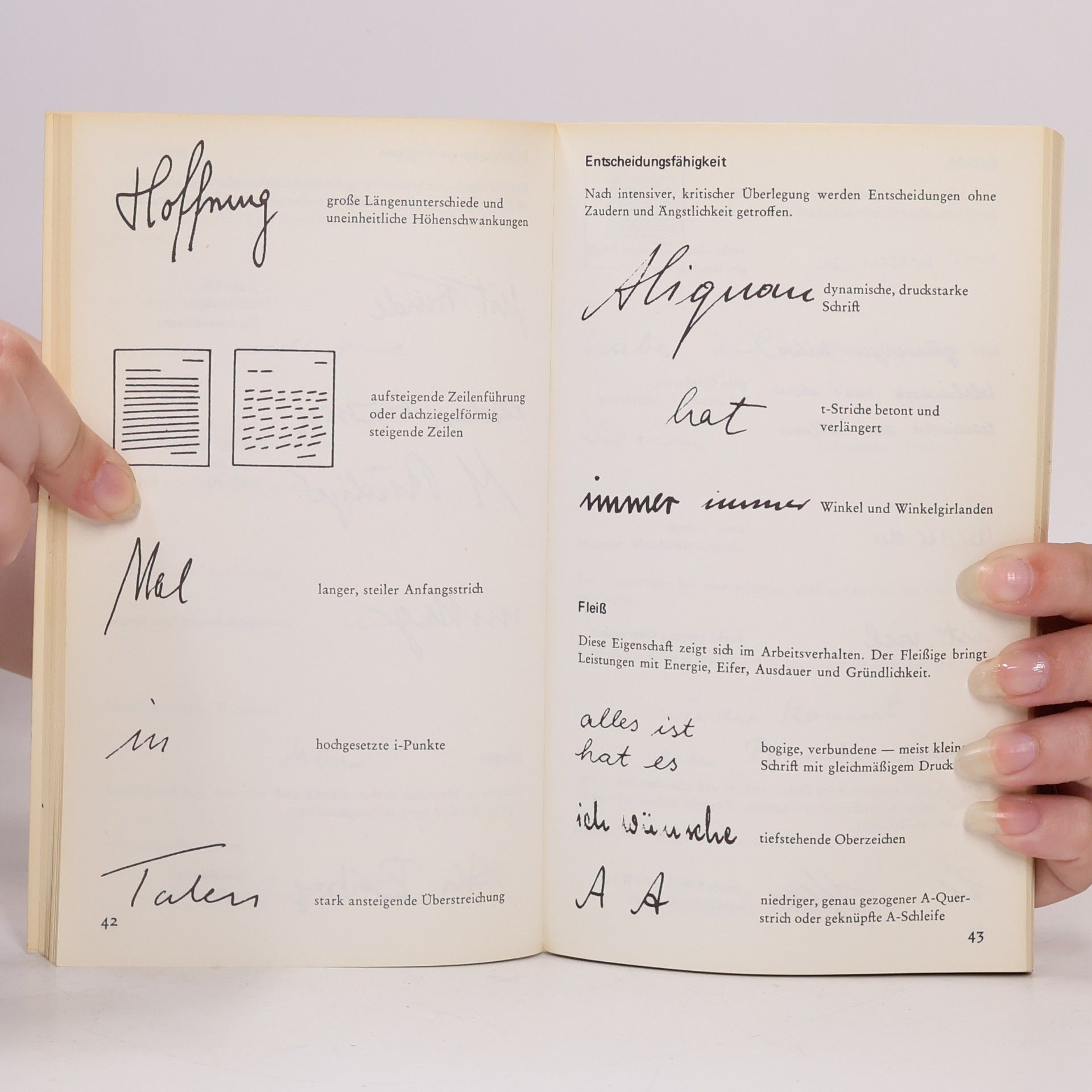Ursula Ehwald Handschriften deuten