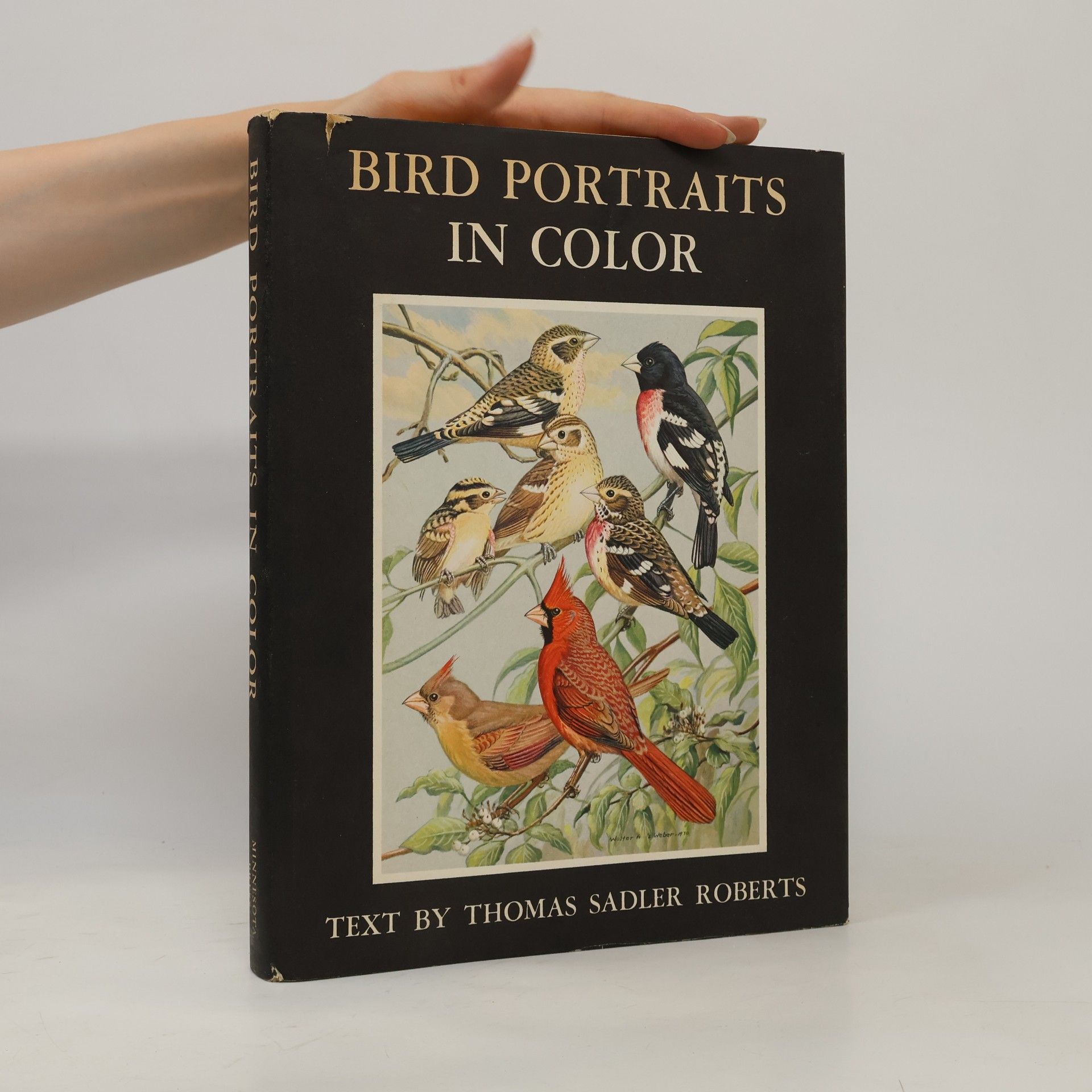 Thomas S. Roberts Bird Portraits in Color. Two Hundred Ninety-Five North American Species