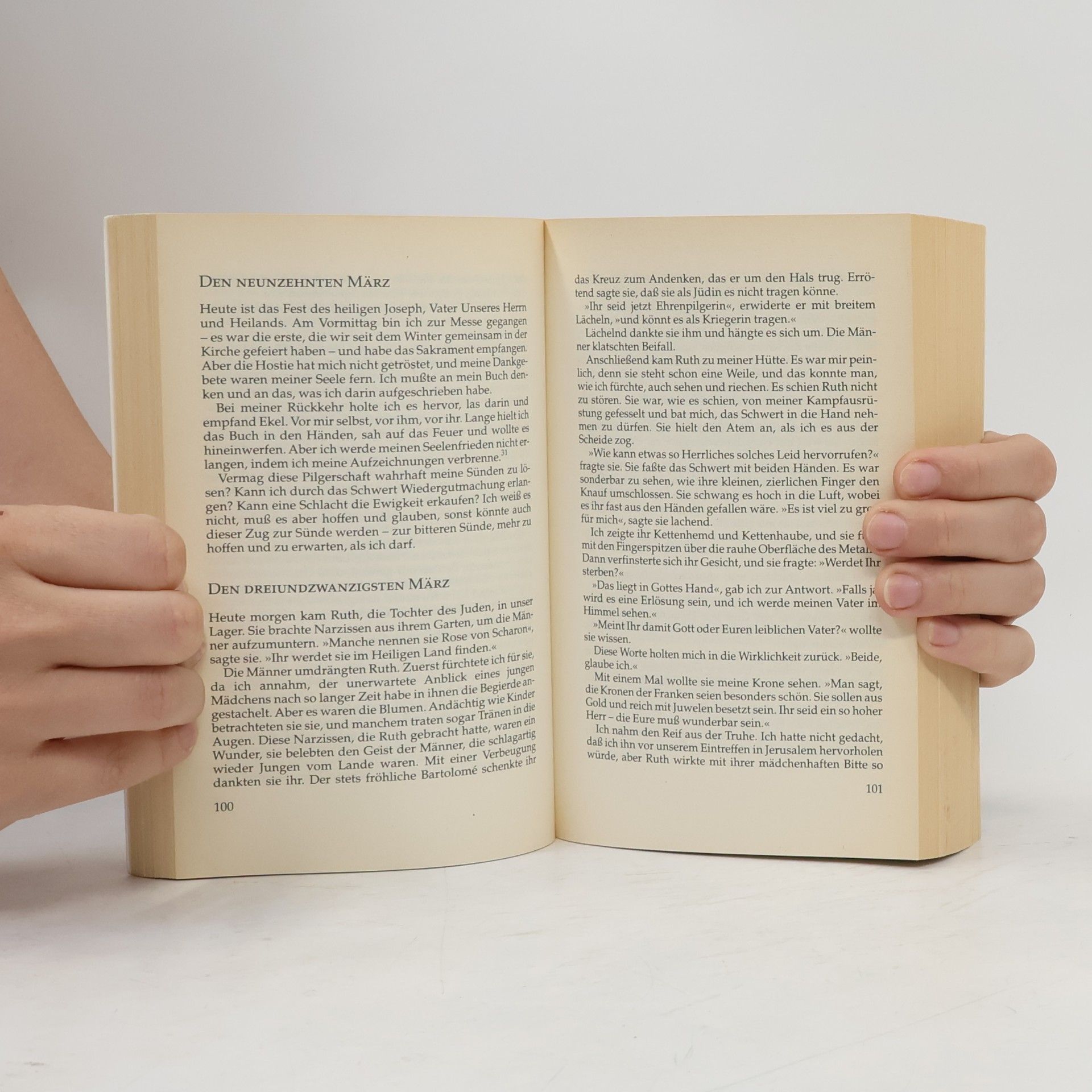 Stephen J. Rivele Der Kreuzritter. Das Tagebuch des Roger von Lunel