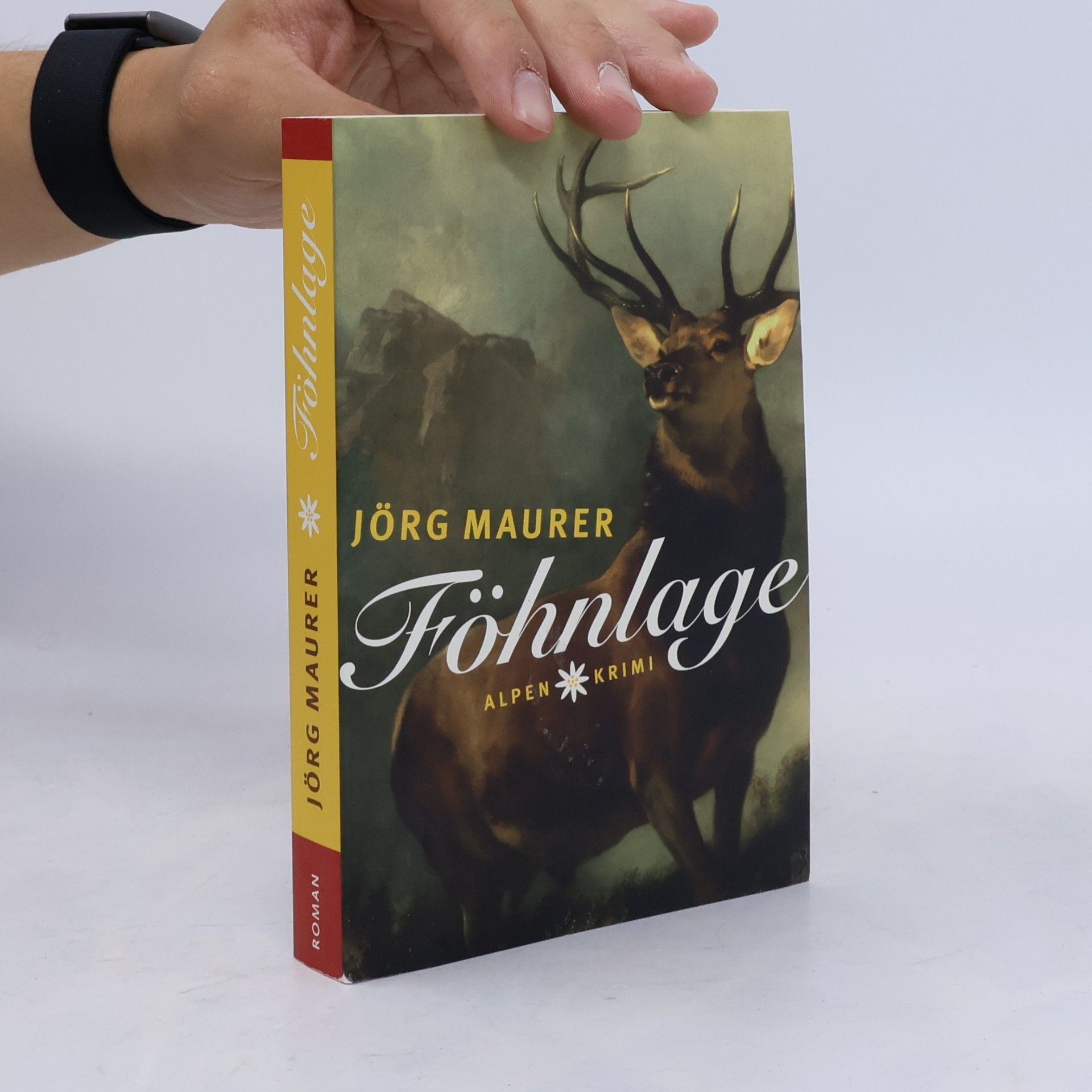 Jörg Maurer Föhnlage