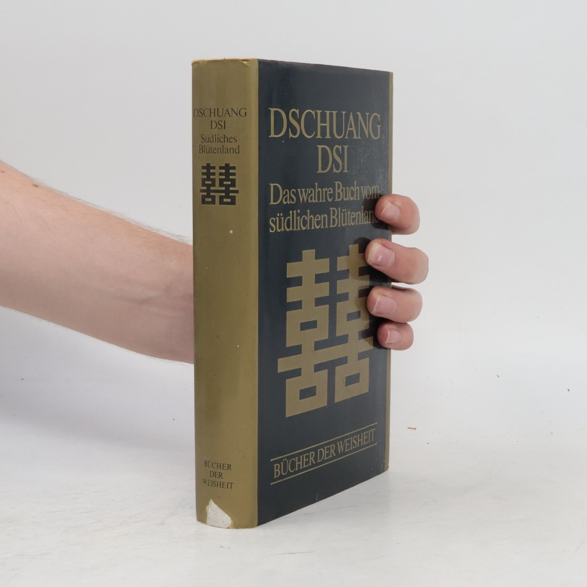 Dschuang Dsi Das wahre Buch vom südlichen Blütenland
