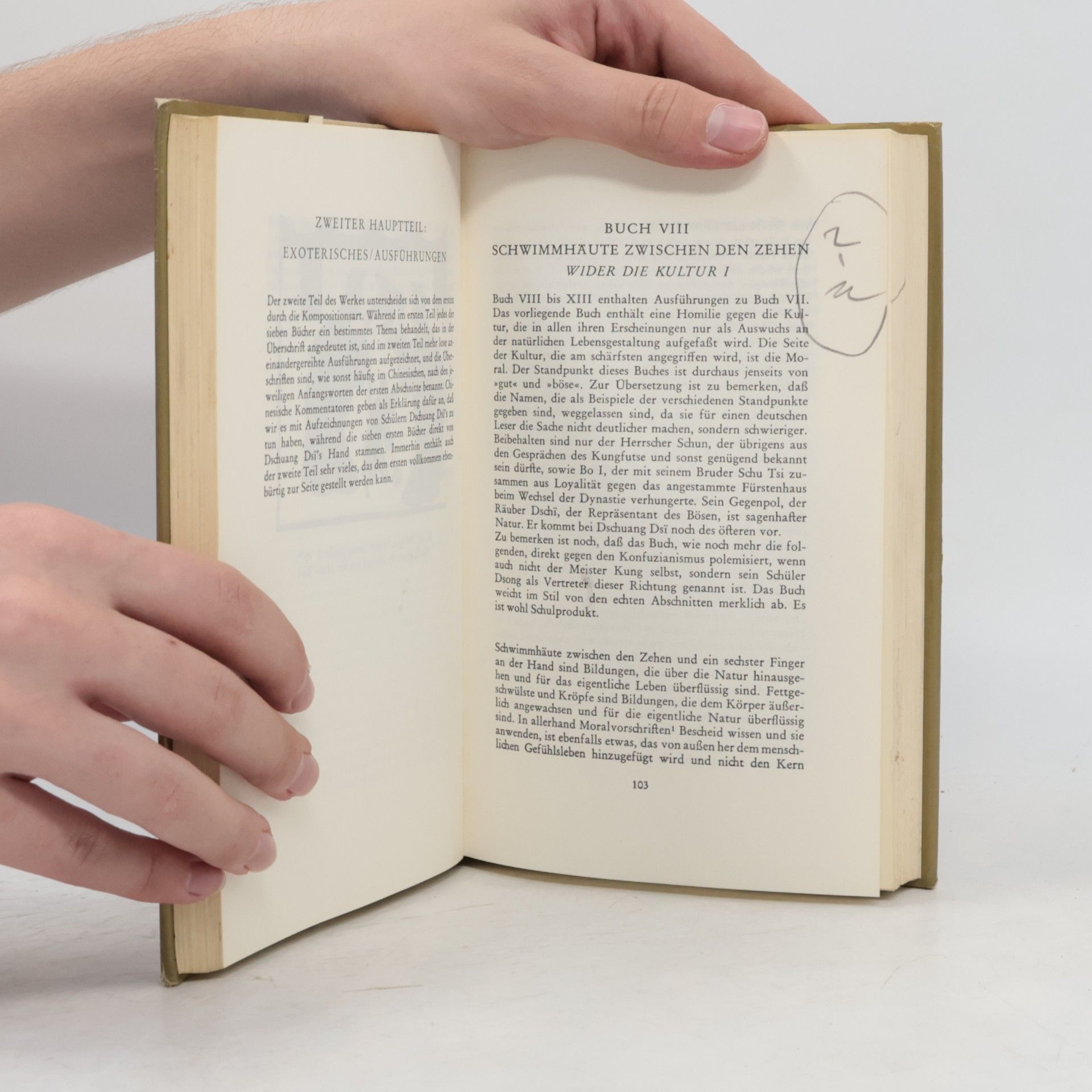 Dschuang Dsi Das wahre Buch vom südlichen Blütenland