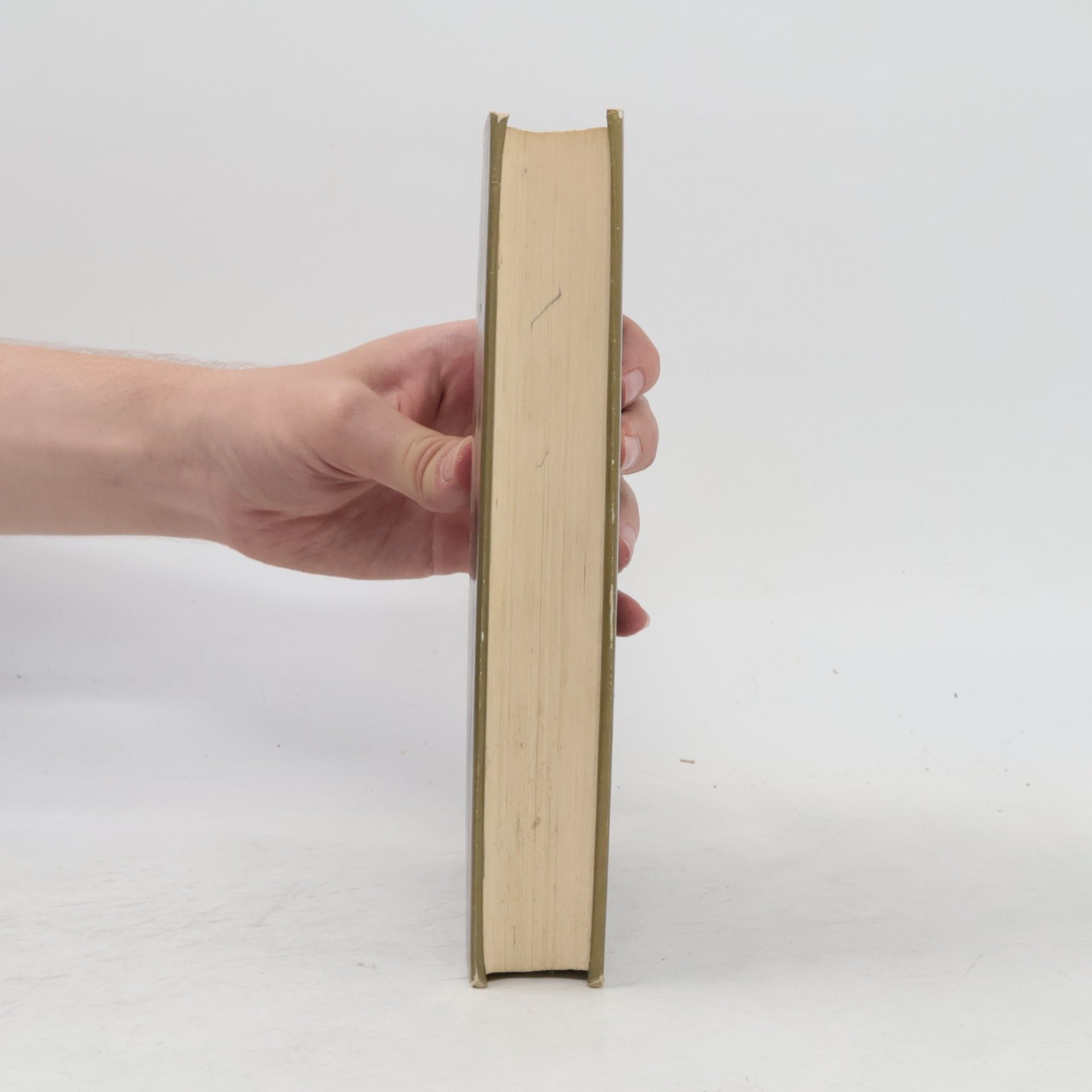 Dschuang Dsi Das wahre Buch vom südlichen Blütenland