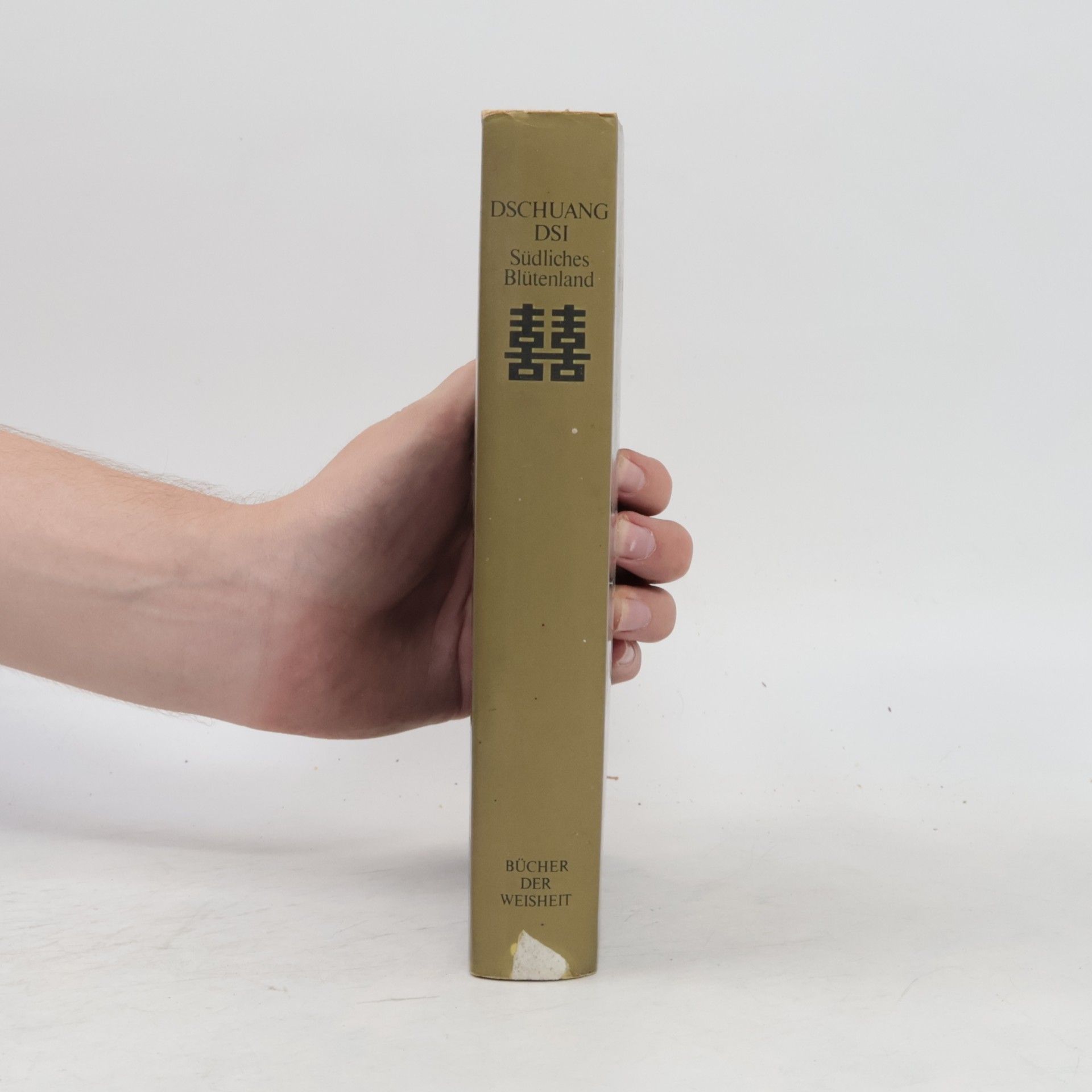 Dschuang Dsi Das wahre Buch vom südlichen Blütenland