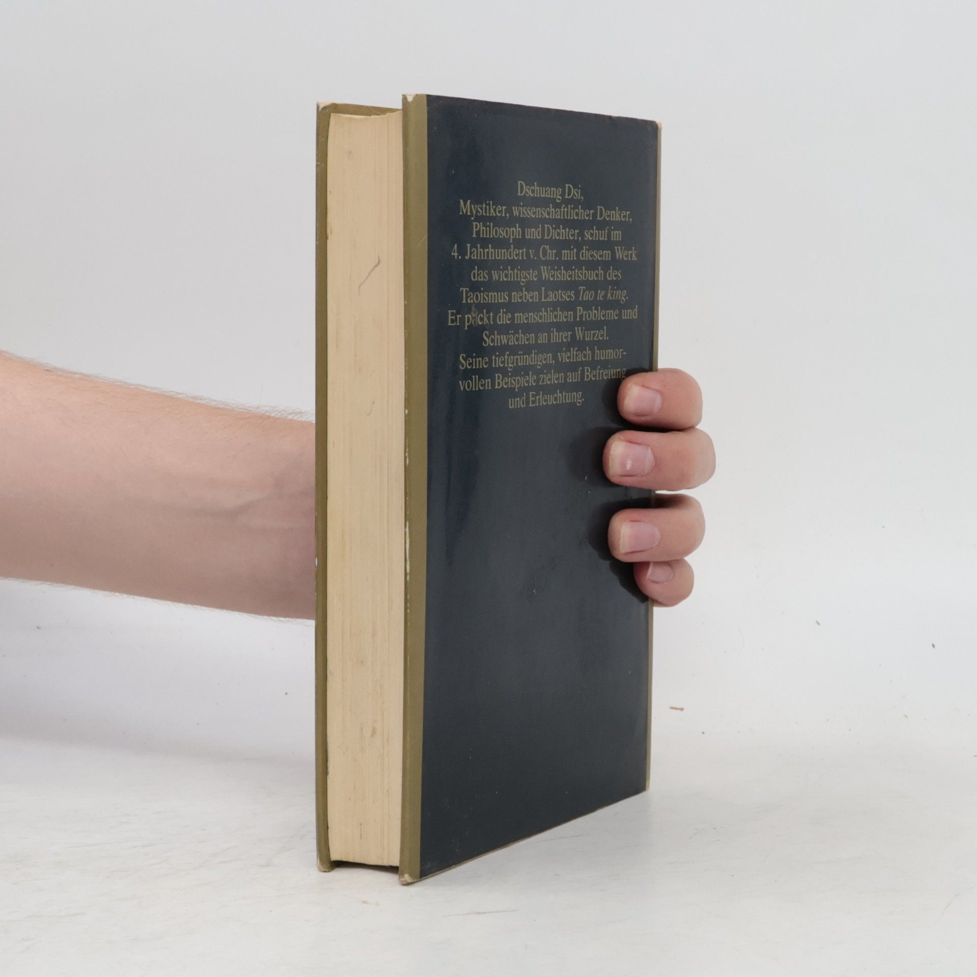 Dschuang Dsi Das wahre Buch vom südlichen Blütenland