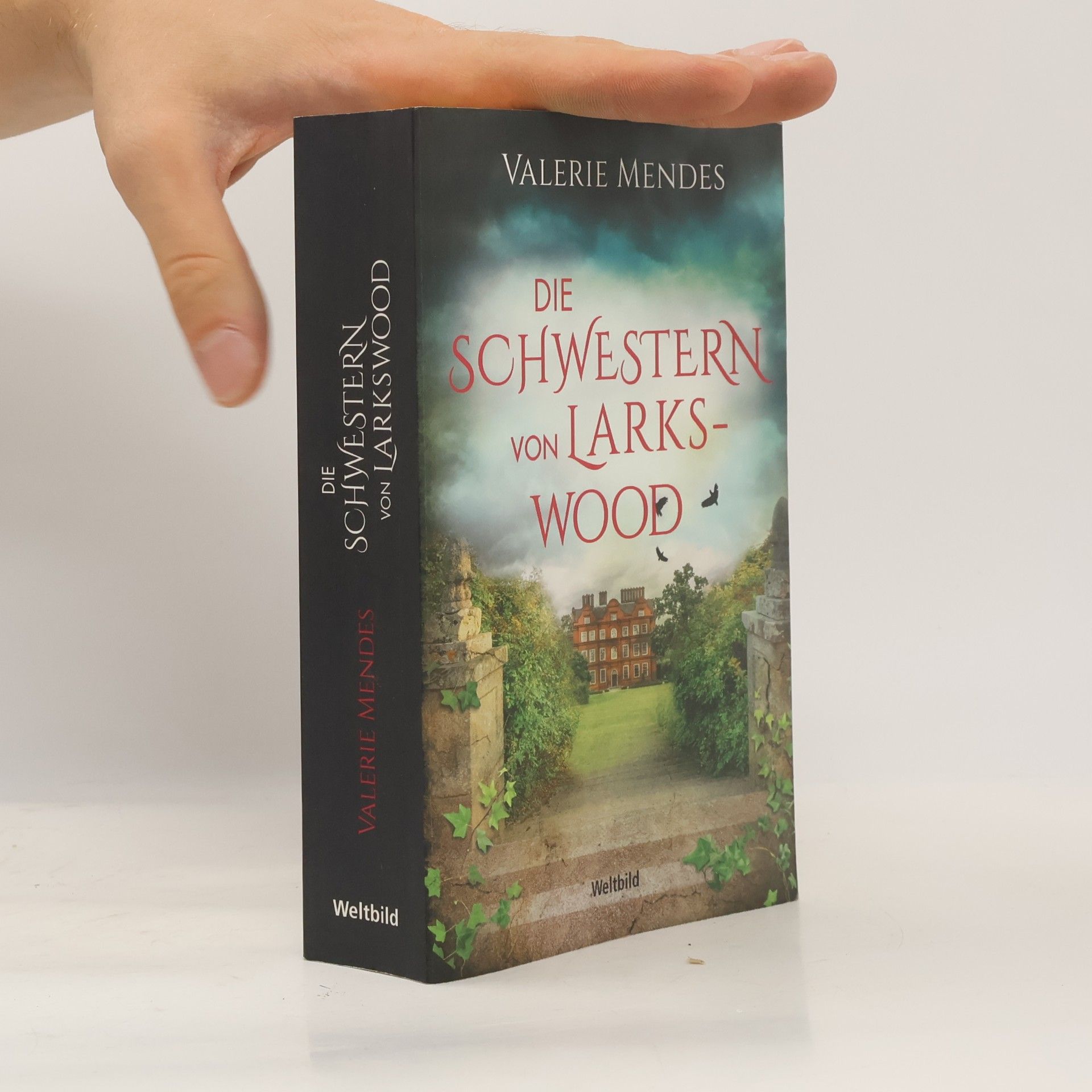 Valerie Mendes Die Schwestern von Larkswood