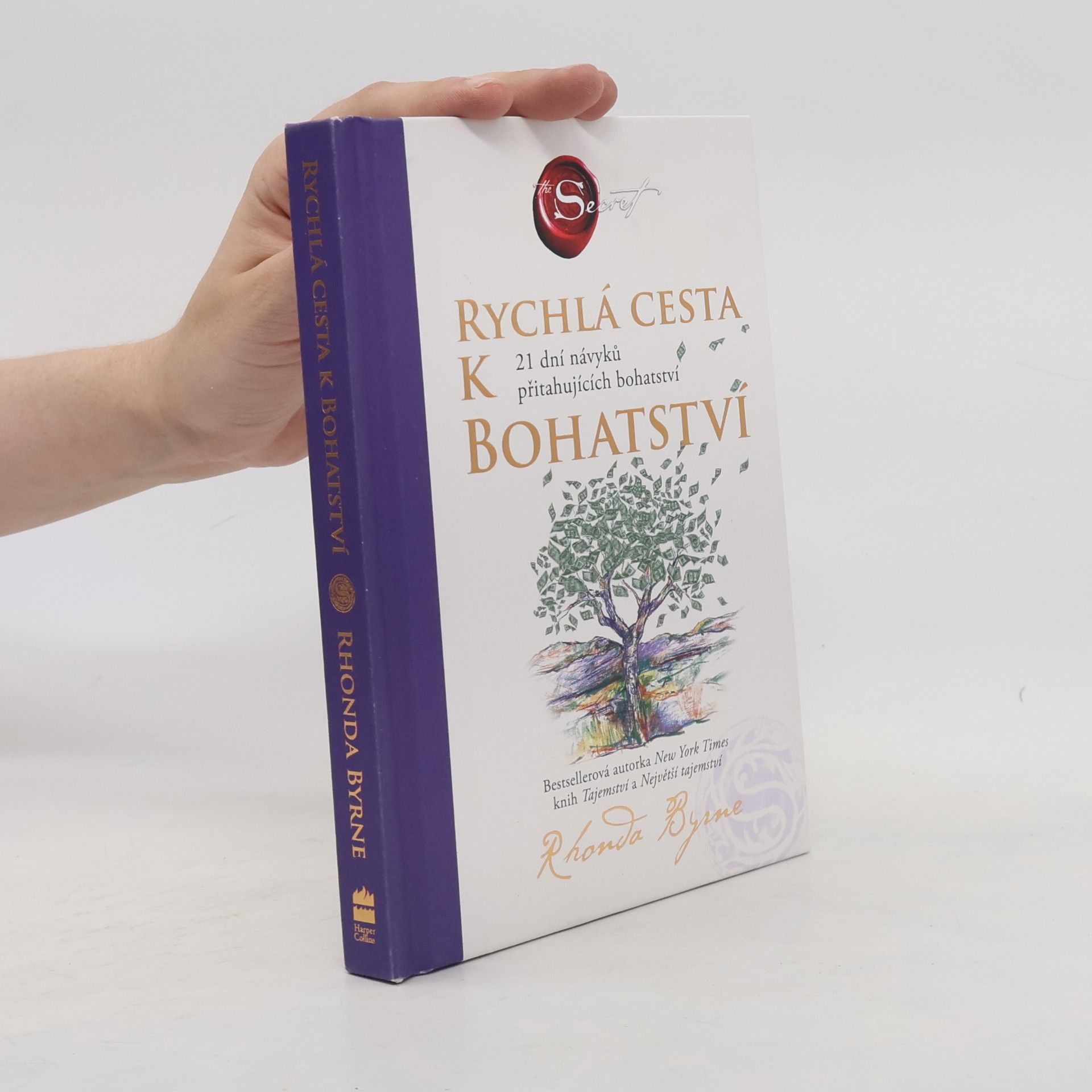 Rychlá cesta k bohatství : 21 dní návyků přitahujících bohatství