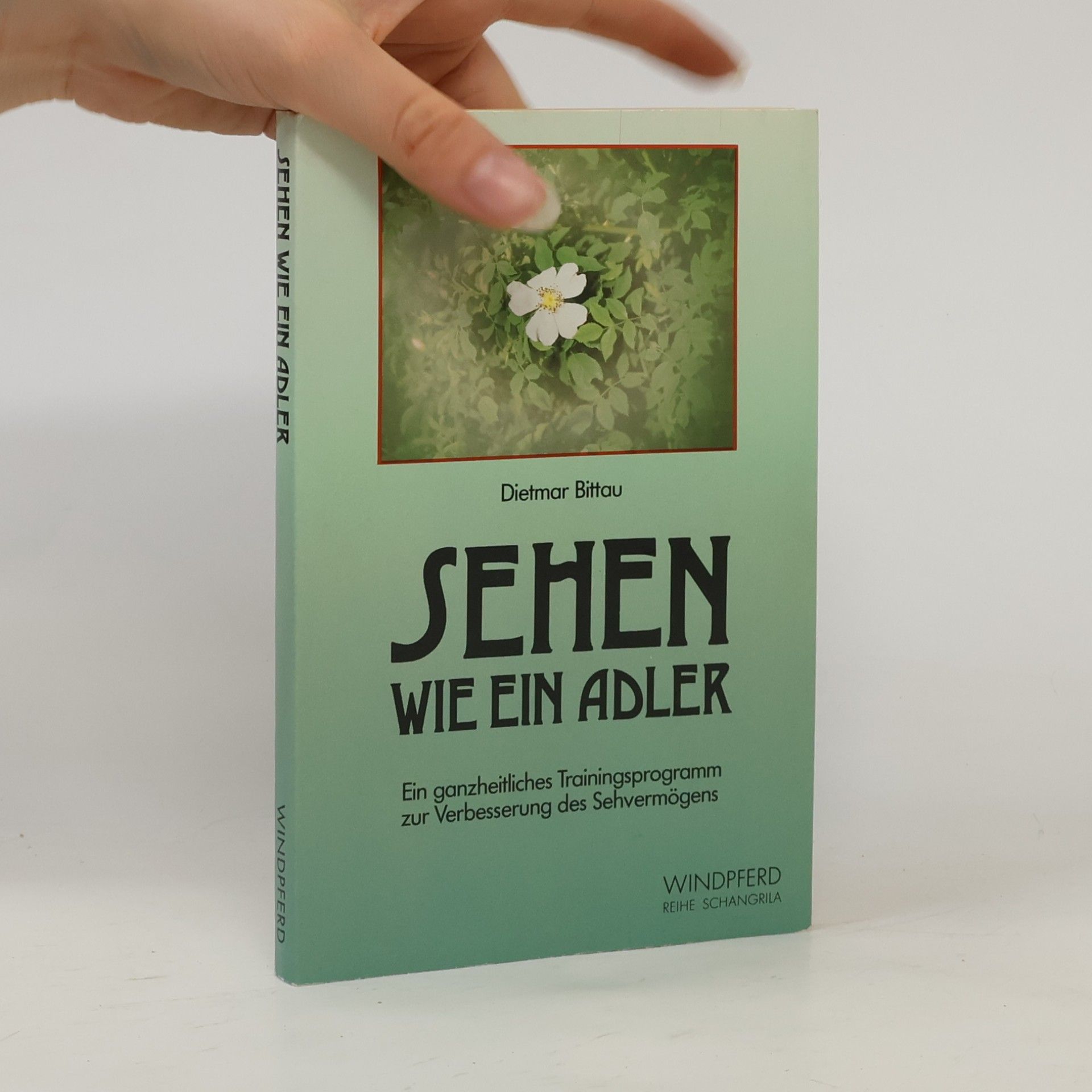 Dietmar Bittau Sehen wie ein Adler