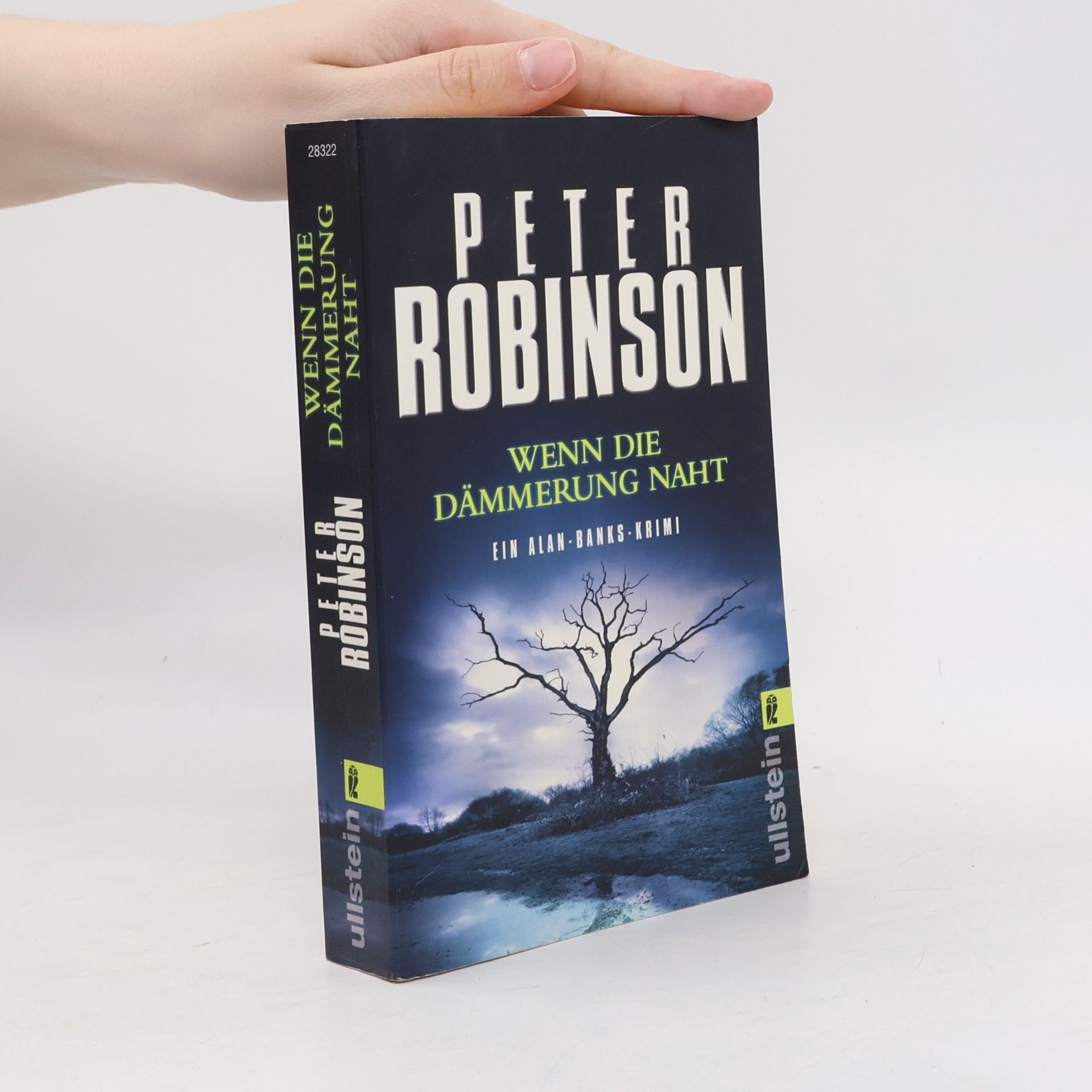 Peter Robinson Wenn die Dämmerung naht