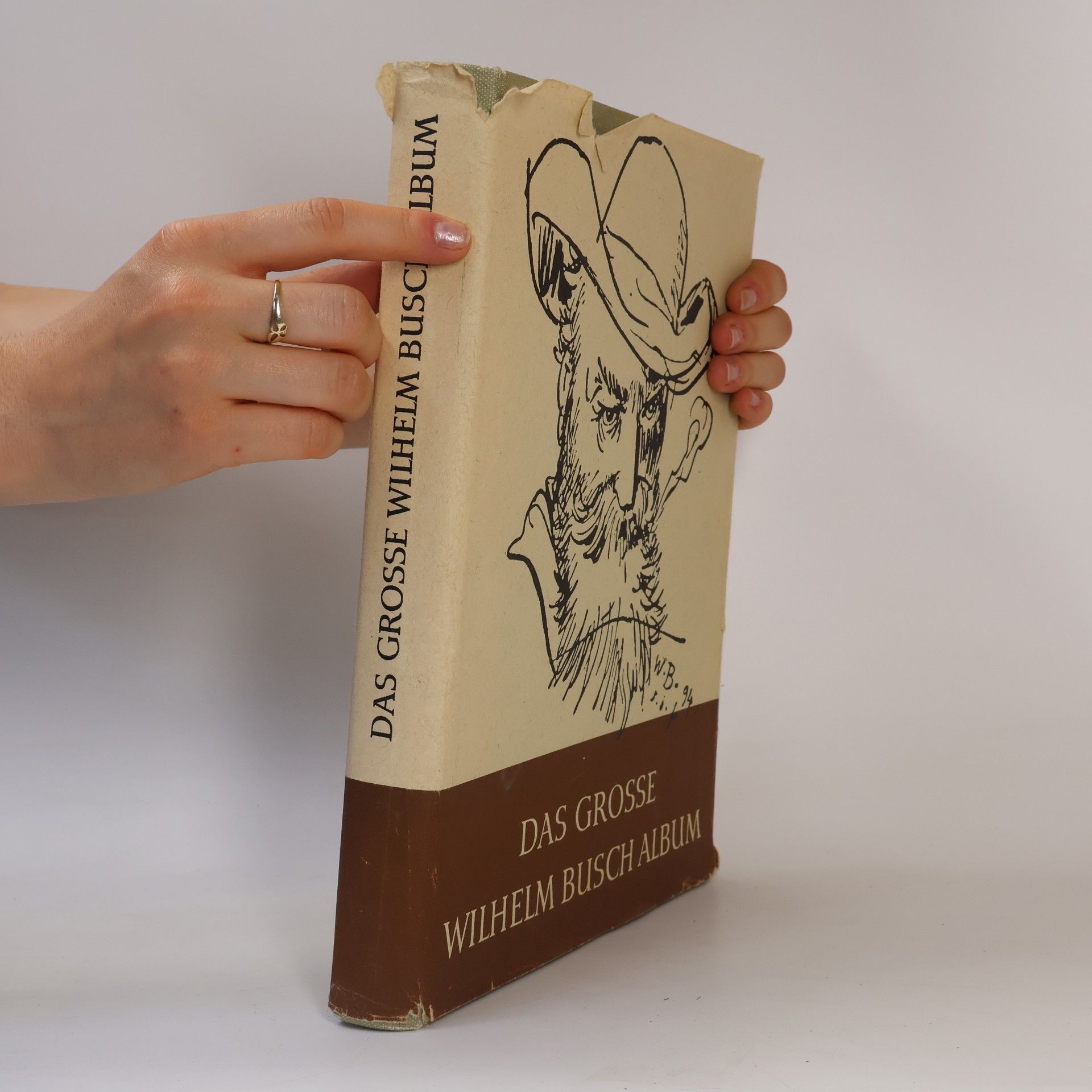 Autorenkollektiv Das grosse Wilhelm Busch-Album