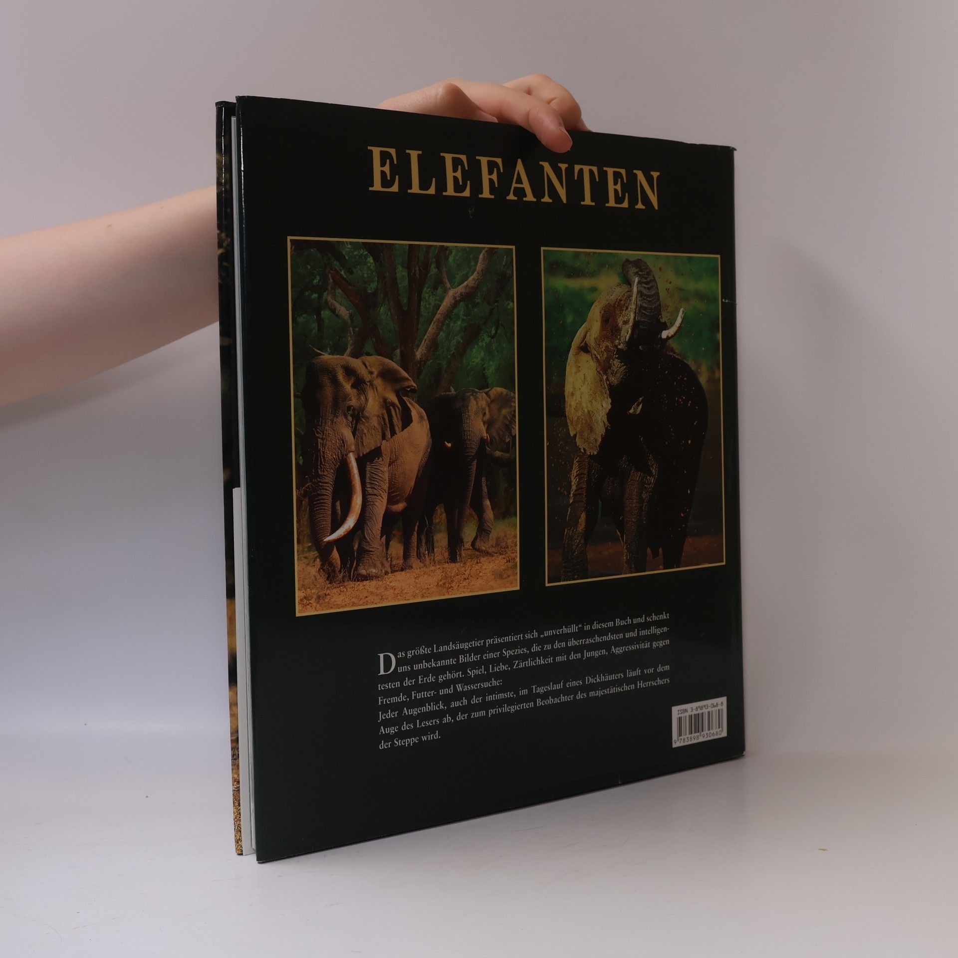 Christine Denis-Huot Elefanten