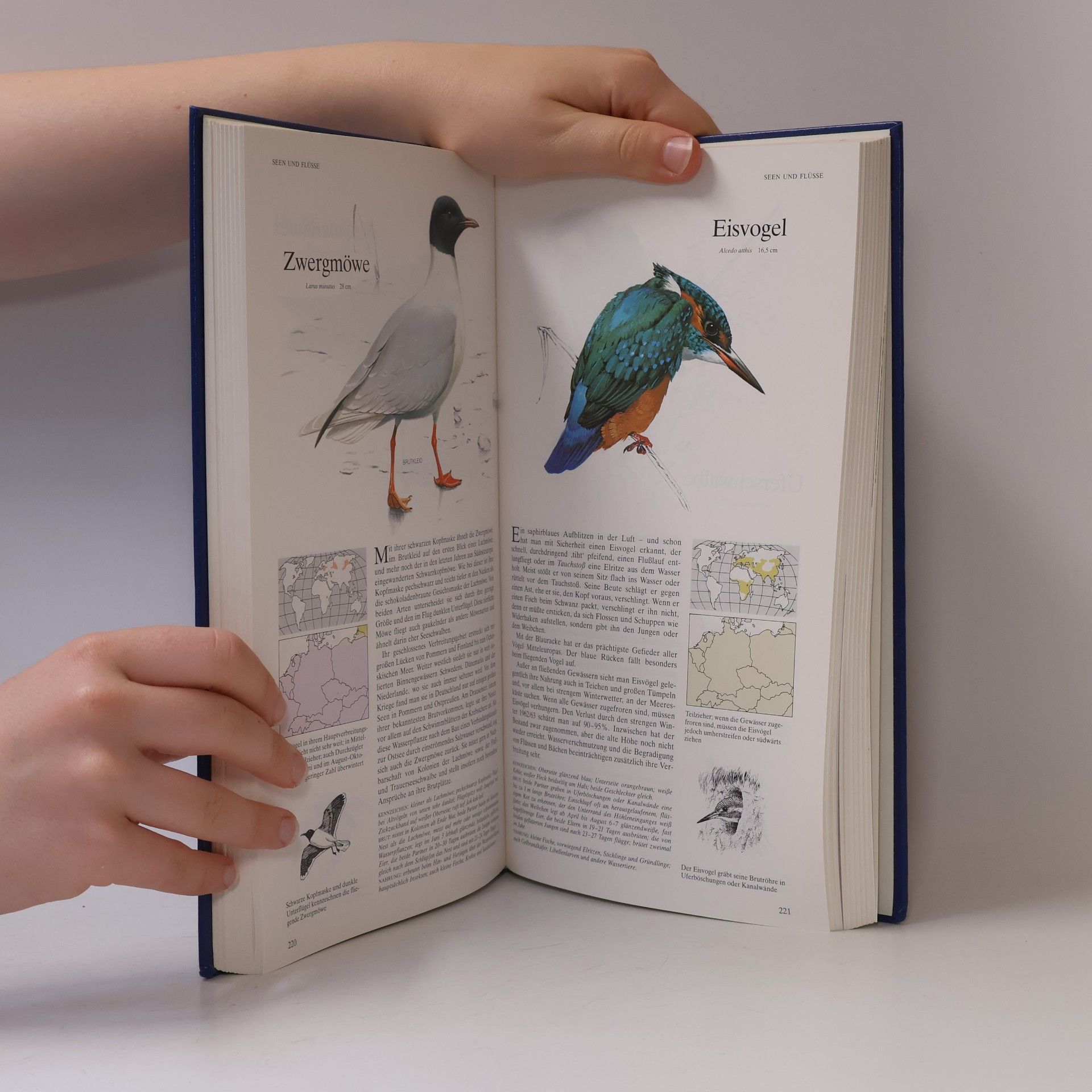 Richard Sidney Buch der Vogelwelt. Mitteleuropa