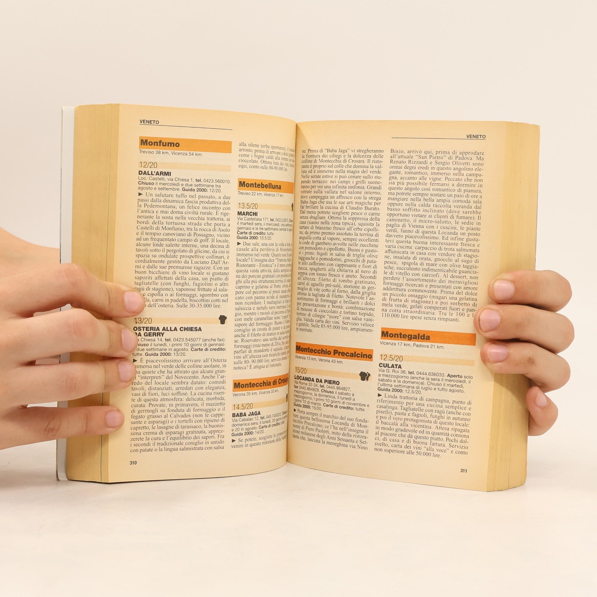 Autorenkollektiv La Guida d'Italia 2001