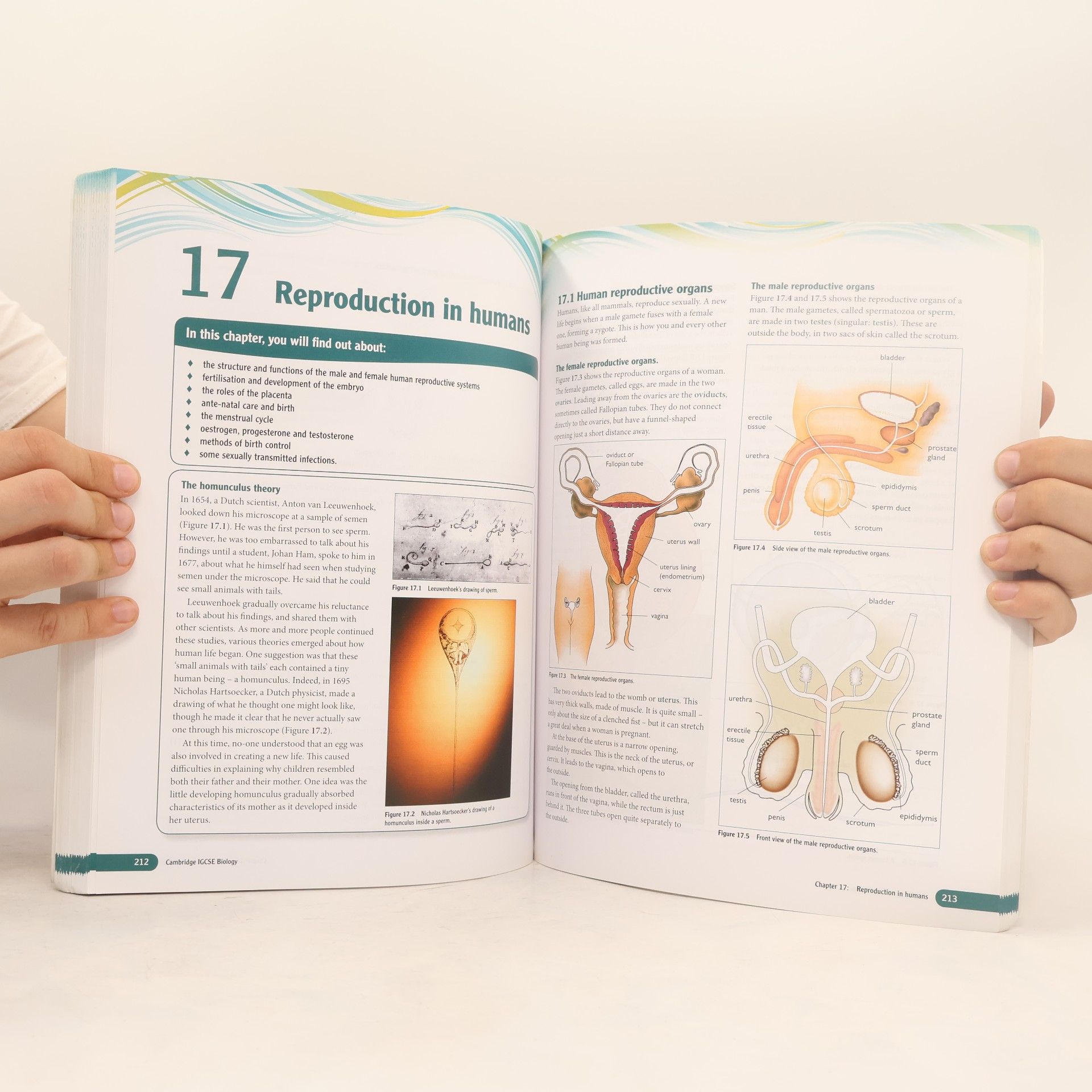Mary Jones Cambridge IGCSE® Biology Coursebook with CD-ROM and Cambridge Elevate Enhanced Edition (2 Years)