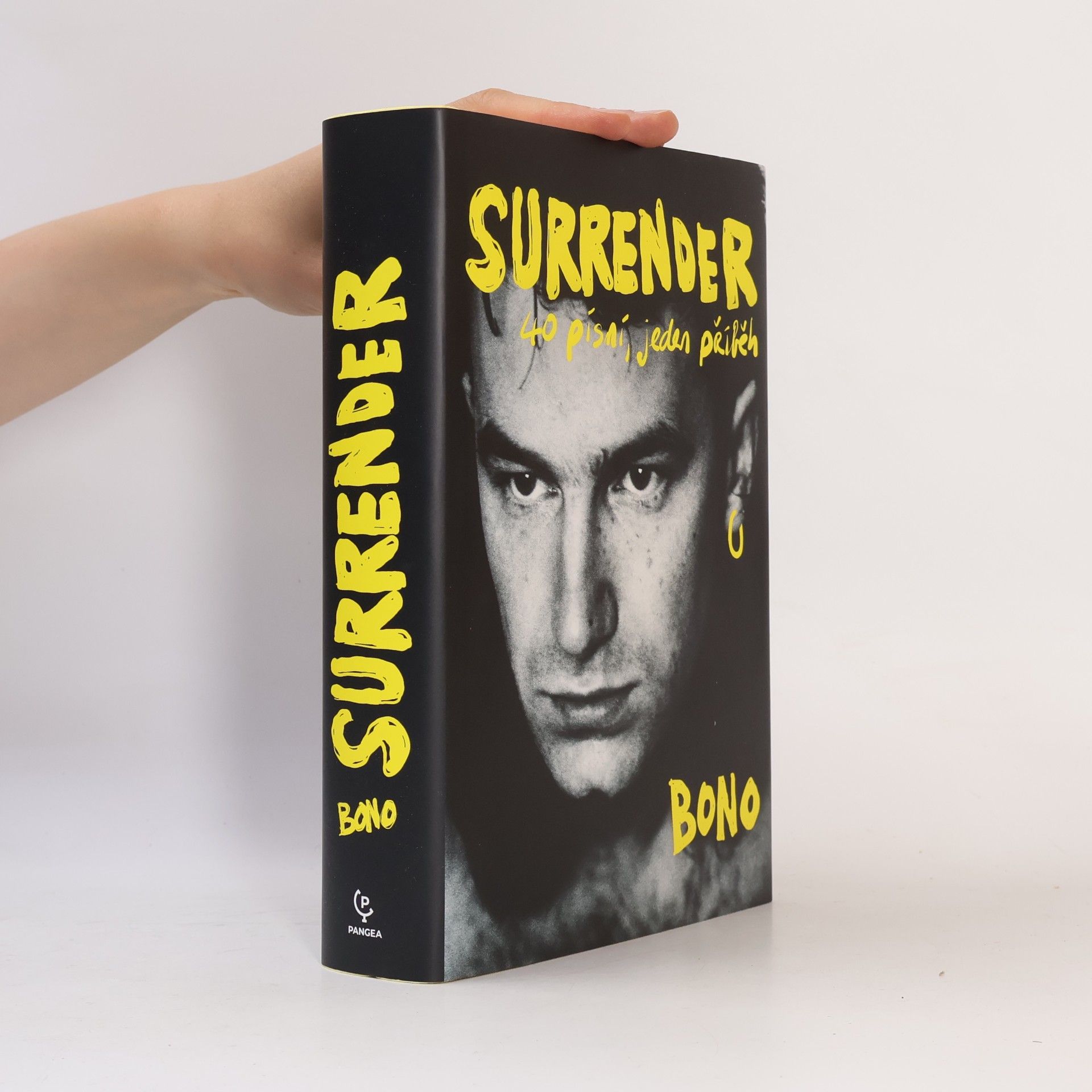 Bono Surrender : 40 písní, jeden příběh