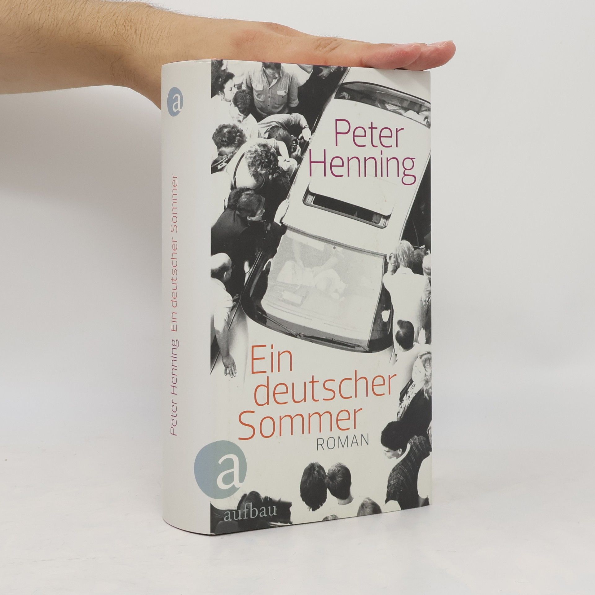 Peter Henning Ein deutscher Sommer