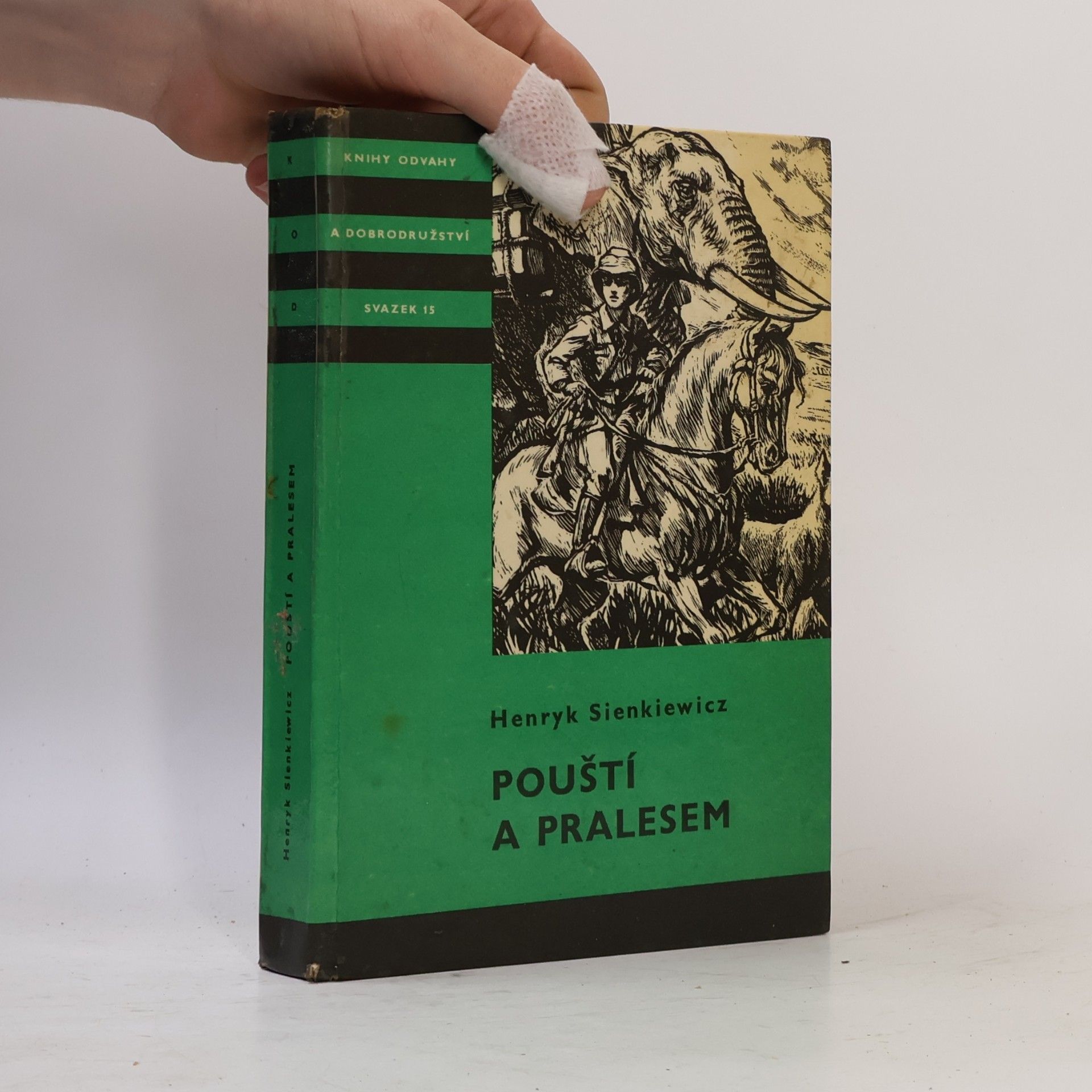 Henryk Sienkiewicz Pouští a pralesem