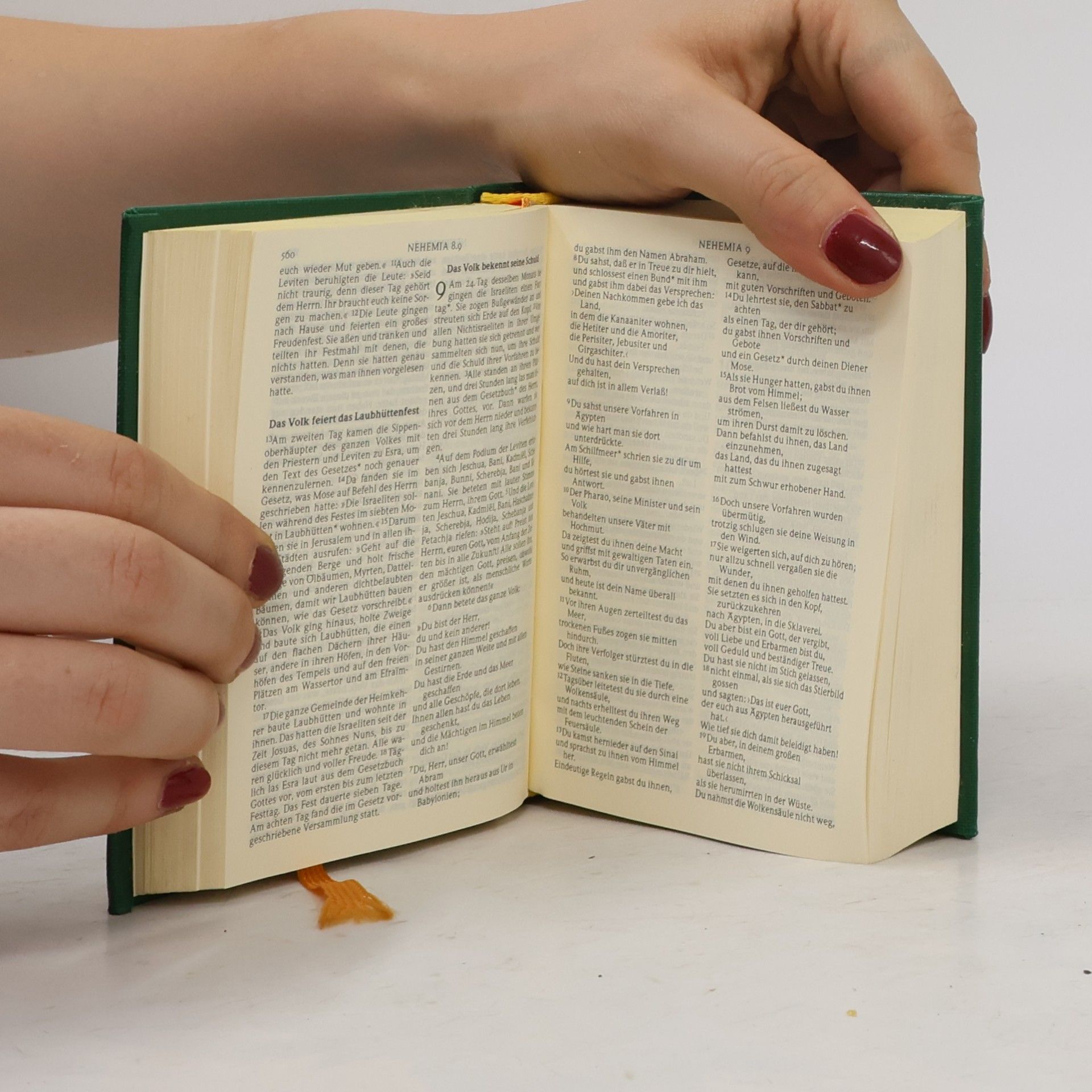 Kolektiv autorů Die Bibel in heutigem Deutsch