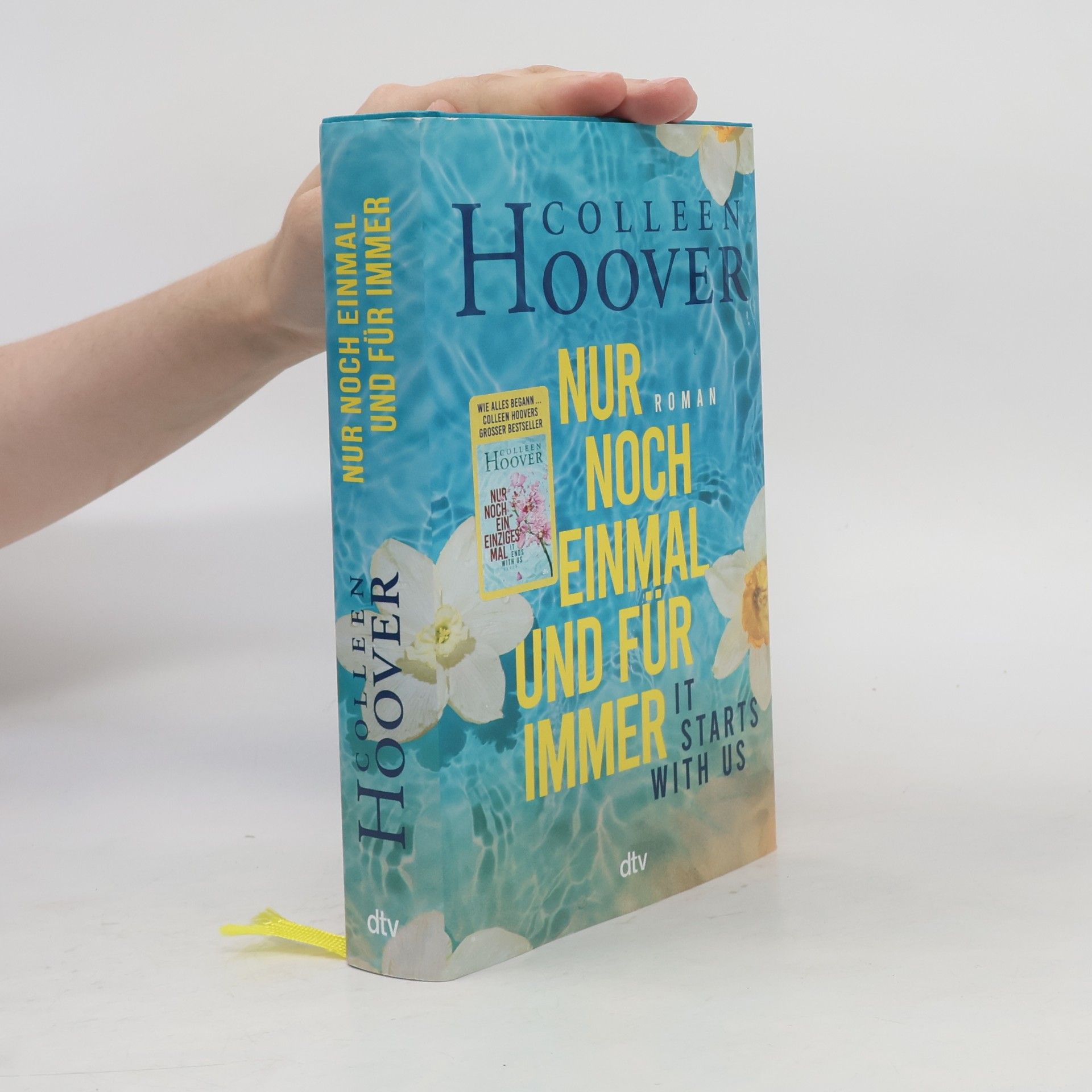 Colleen Hoover Nur noch einmal und für immer