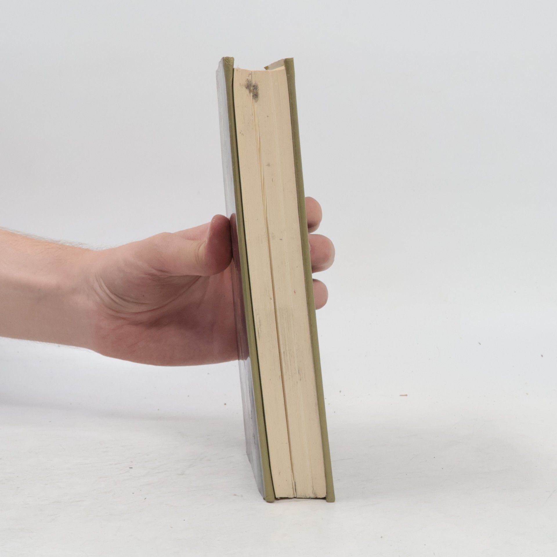 Autorenkollektiv Popol Vuh. Das Buch des Rates