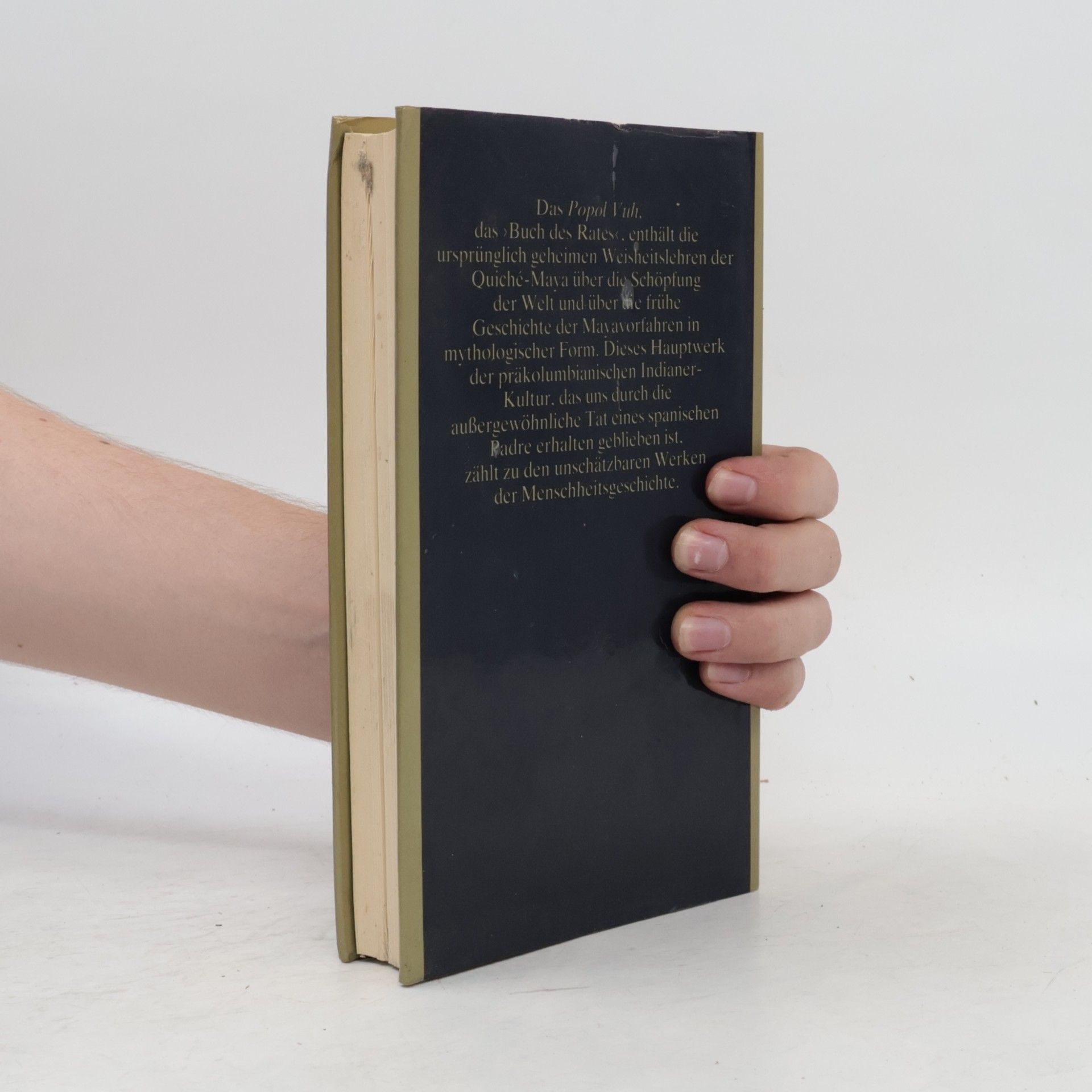 Autorenkollektiv Popol Vuh. Das Buch des Rates