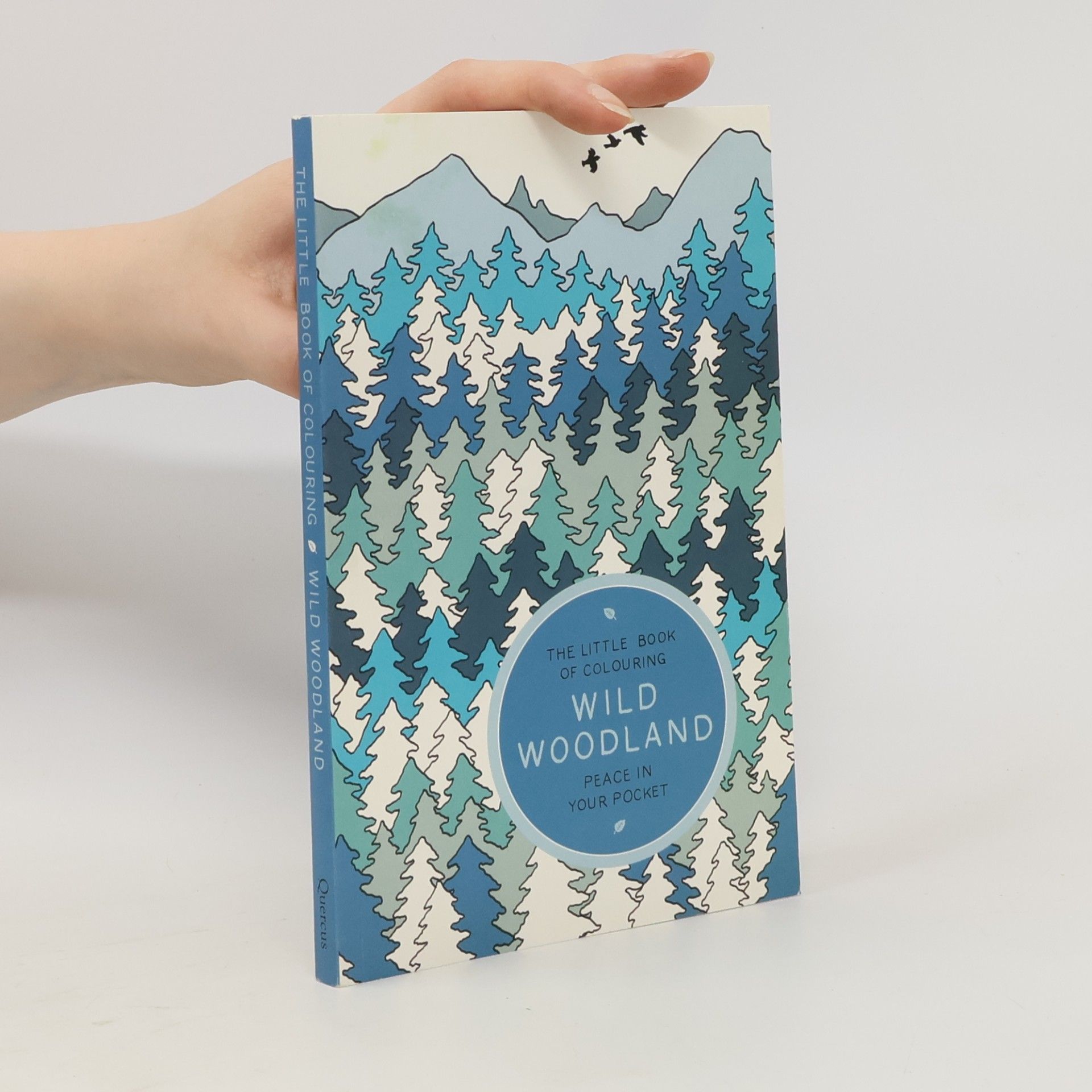 Amber Anderson The Little Book of Colouring: Wild Woodland