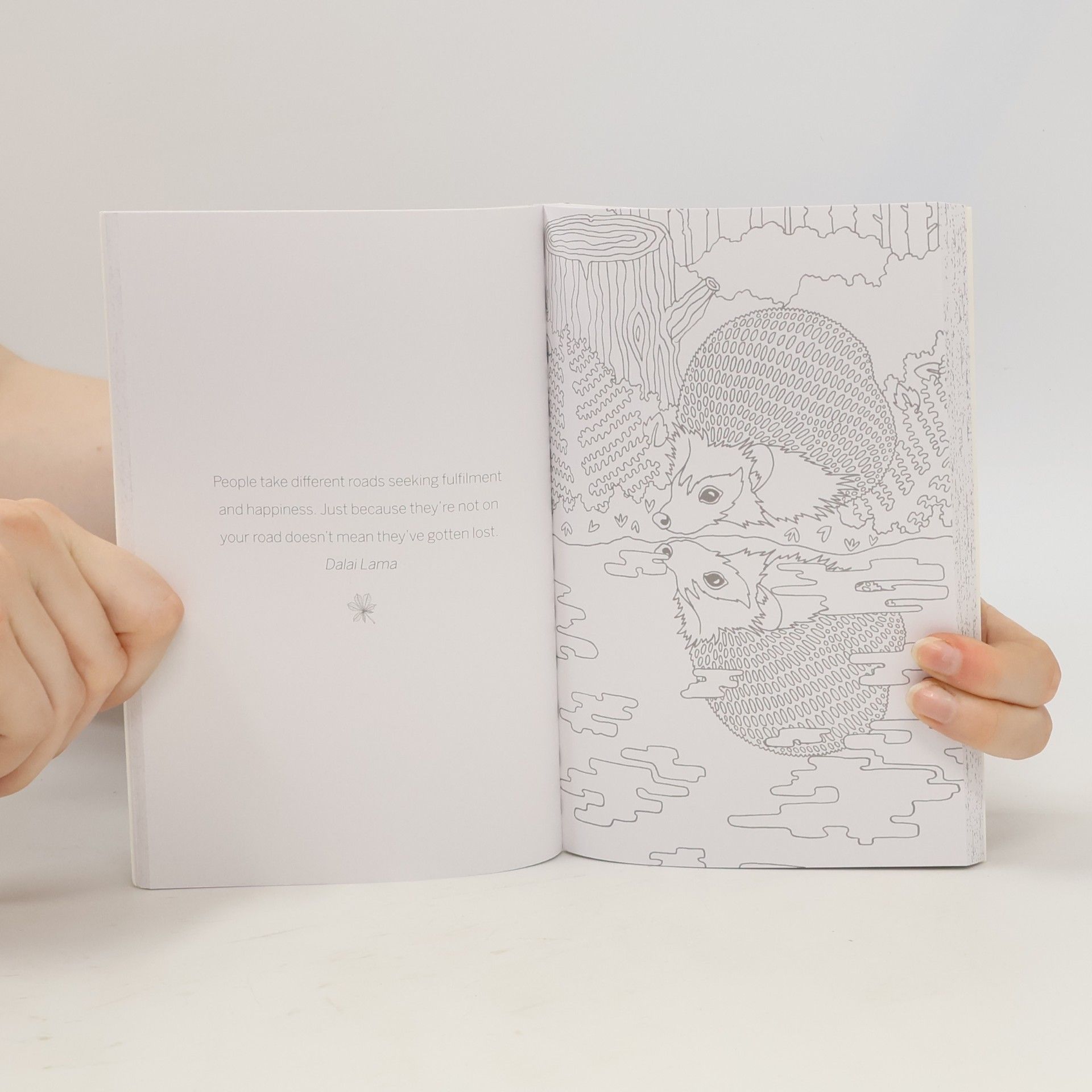 Amber Anderson The Little Book of Colouring: Wild Woodland