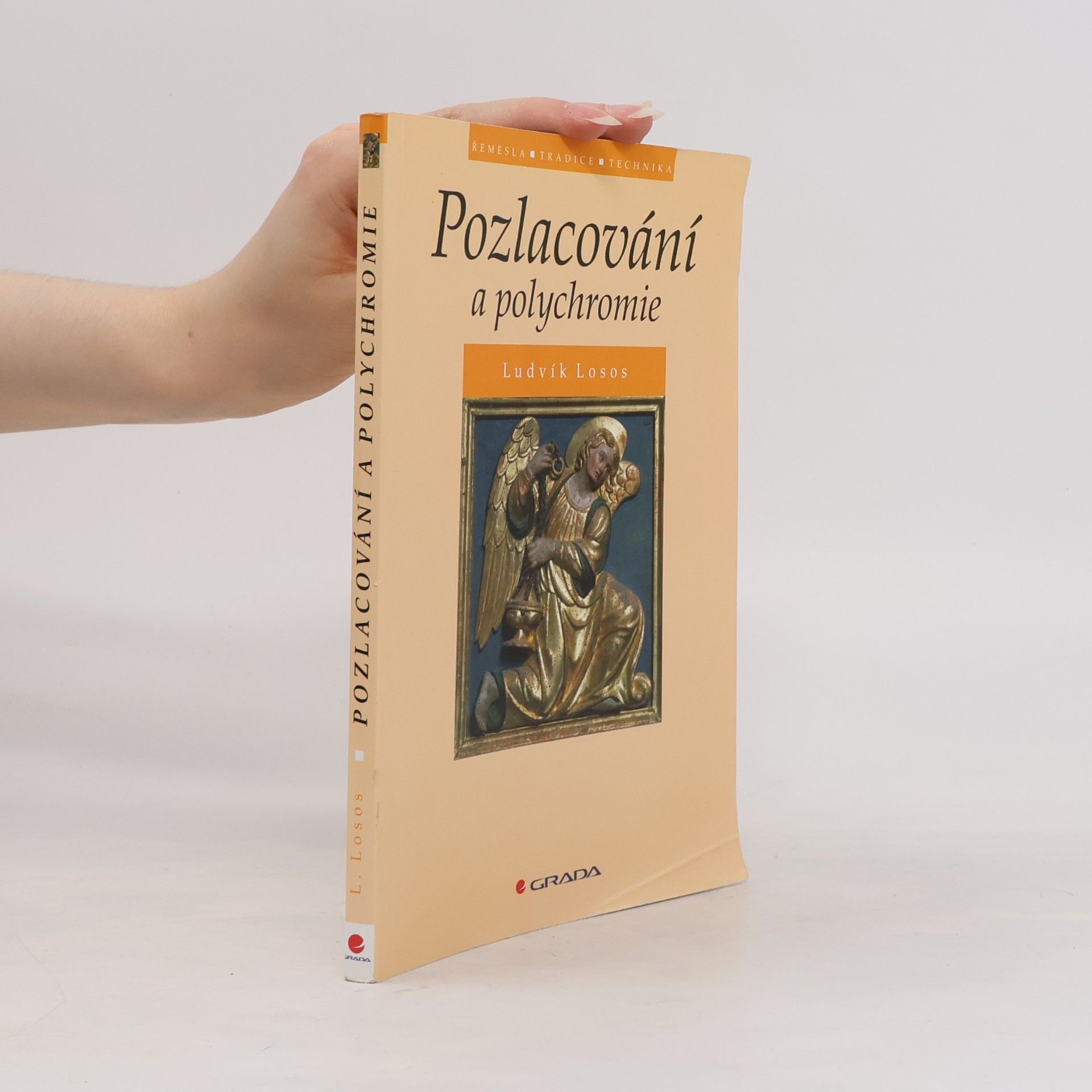 Ludvík Losos Pozlacování a polychromie