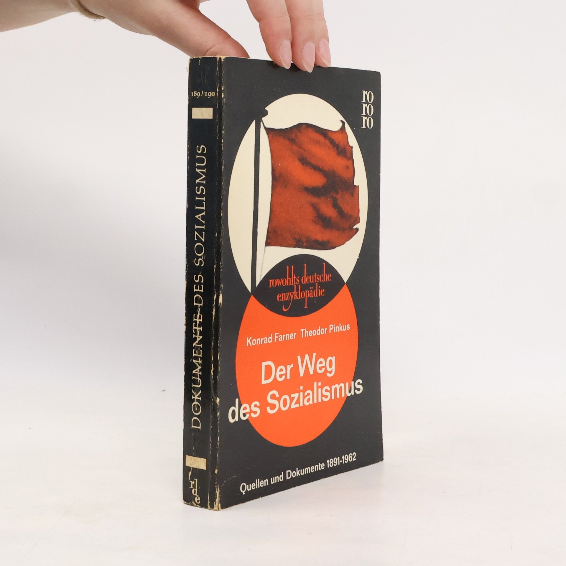 Theodor Pinkus Der Weg des Sozialismus
