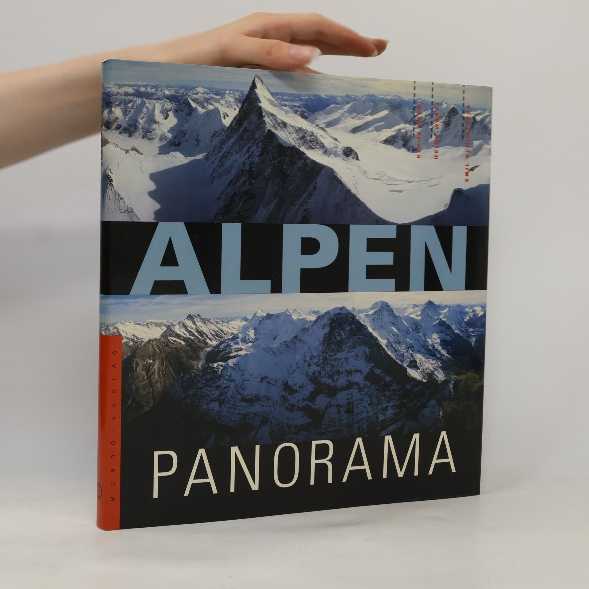 Klaus Burri Alpenpanorama